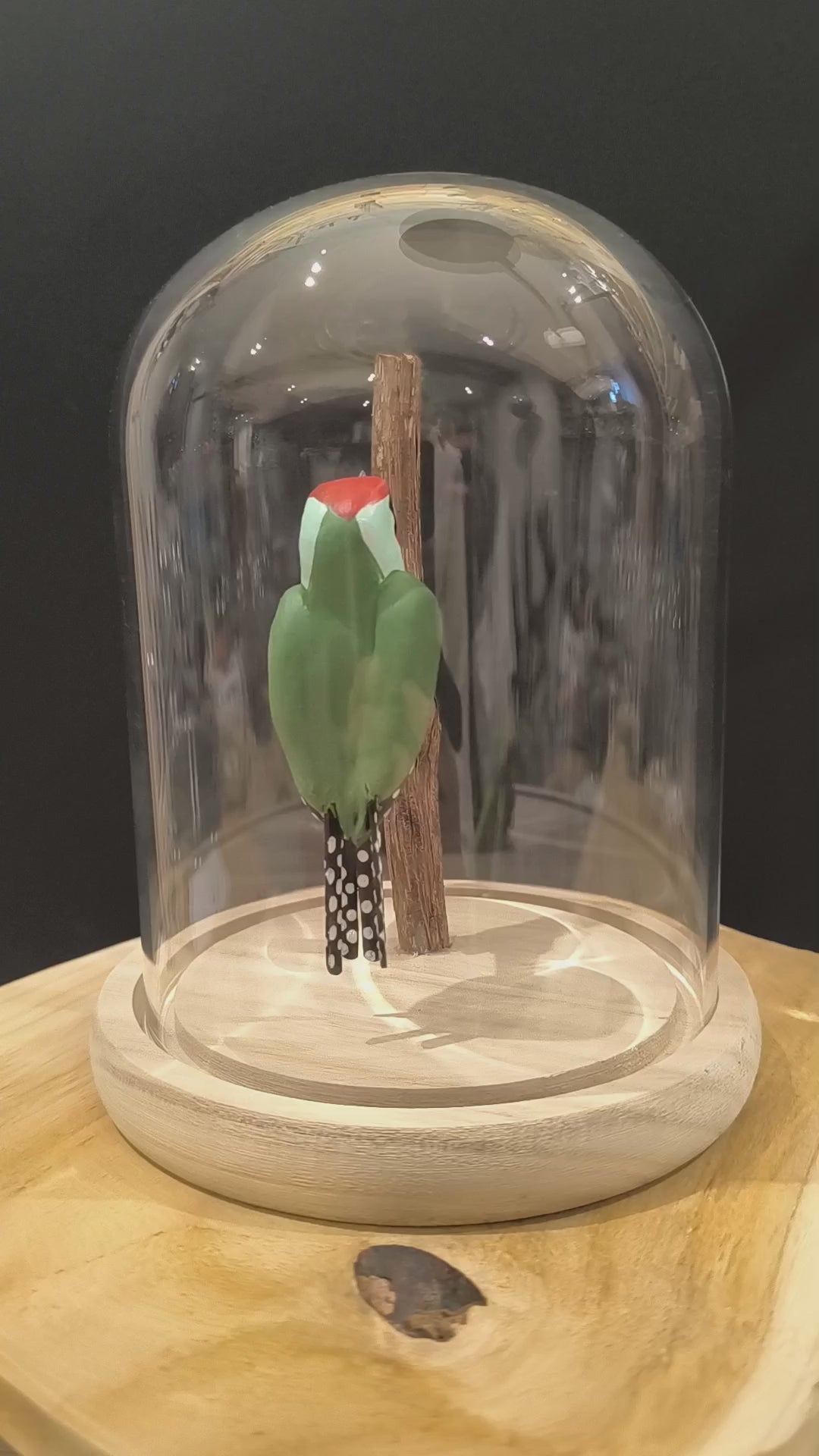 Sculpture Pic vert sous cloche de verre. Argile modelée et peinte à la main à Angers, France.
