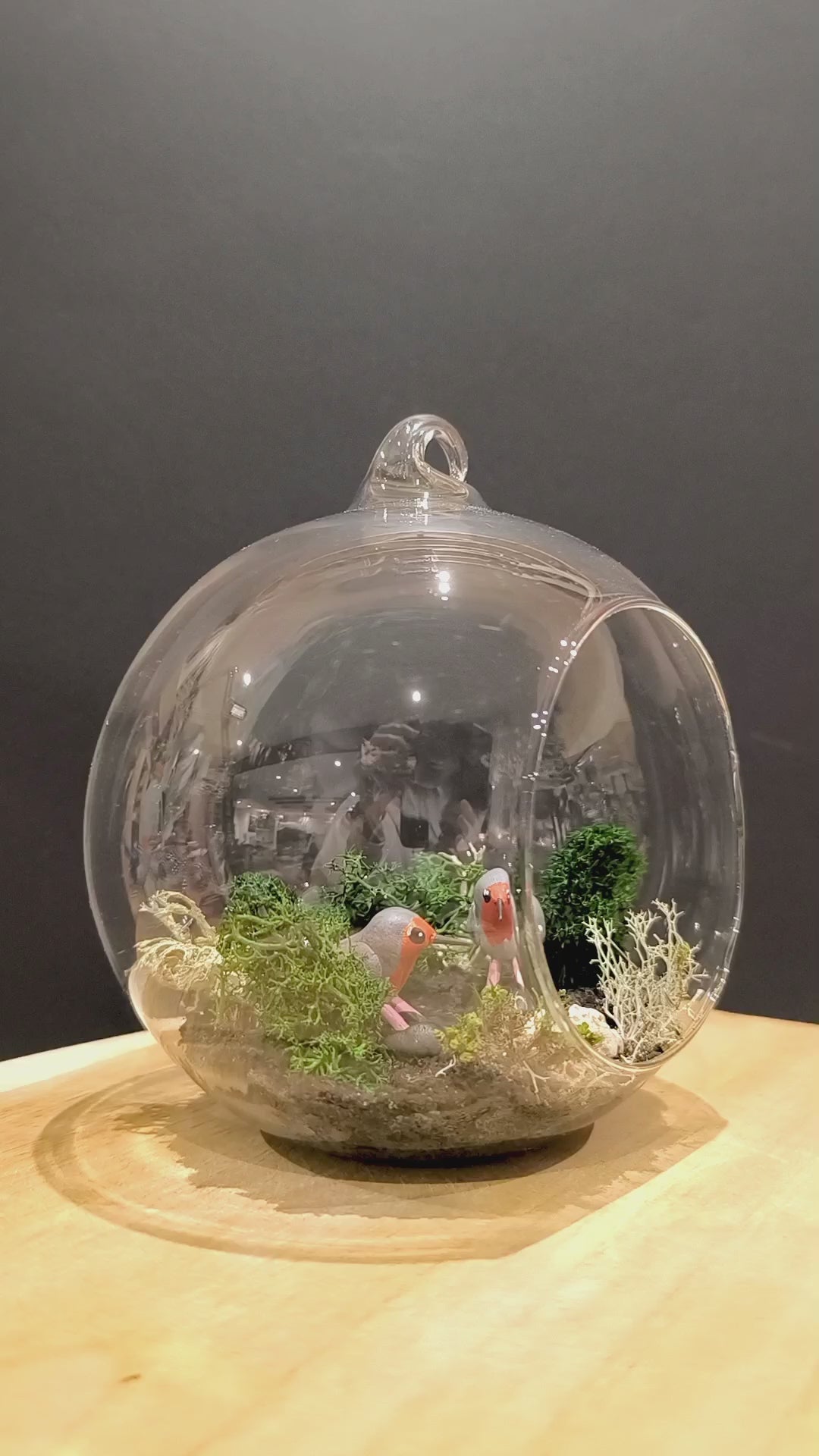 Figurines sculptées Rouges gorges  en parade  nuptiale dans bulle de verre. Modelées à la main en argile (pas de moulage) et peintes à la main. Sculpté dans mon atelier à Angers, France