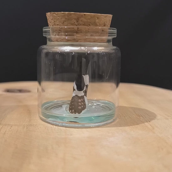 Figurines sculptées Grèbes huppés en parade  nuptiale dans petit flacon de verre. Modelées à la main en argile (pas de moulage) et peintes à la main. Sculpté dans mon atelier à Angers, France