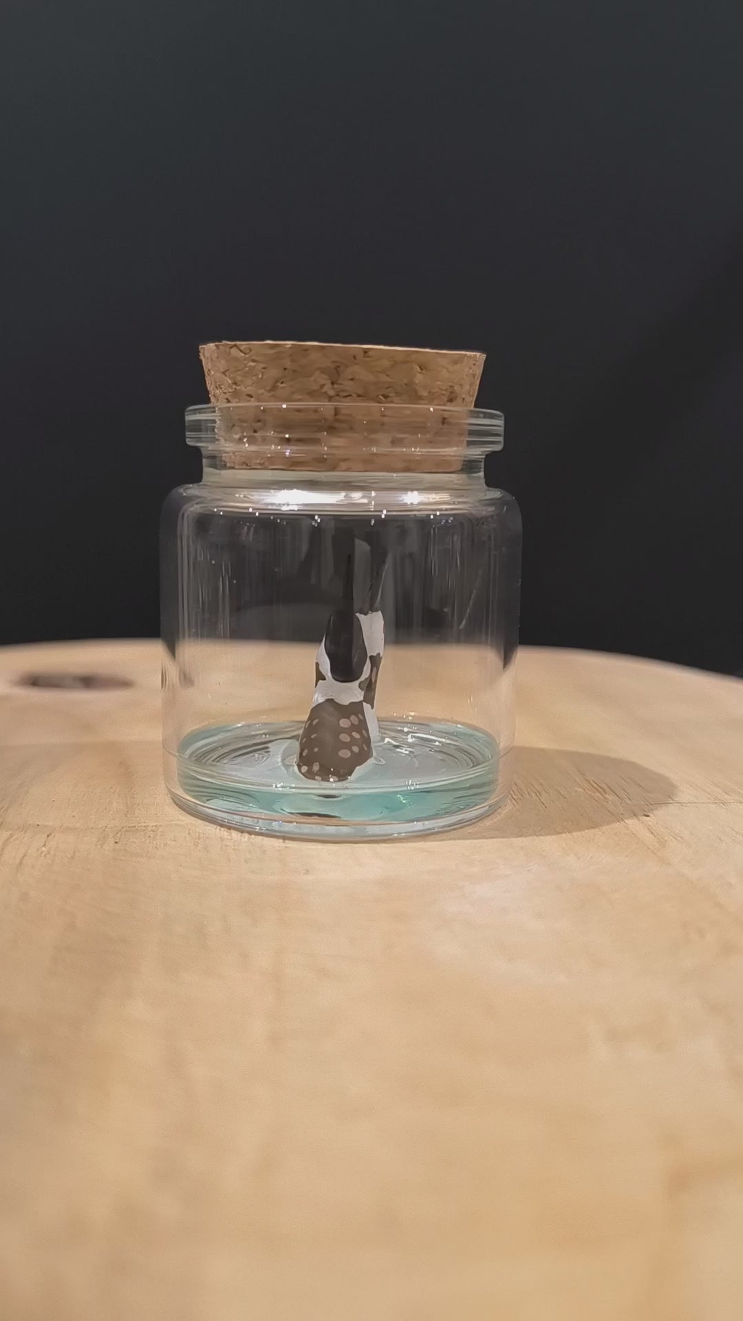 Figurines sculptées Grèbes huppés en parade  nuptiale dans petit flacon de verre. Modelées à la main en argile (pas de moulage) et peintes à la main. Sculpté dans mon atelier à Angers, France