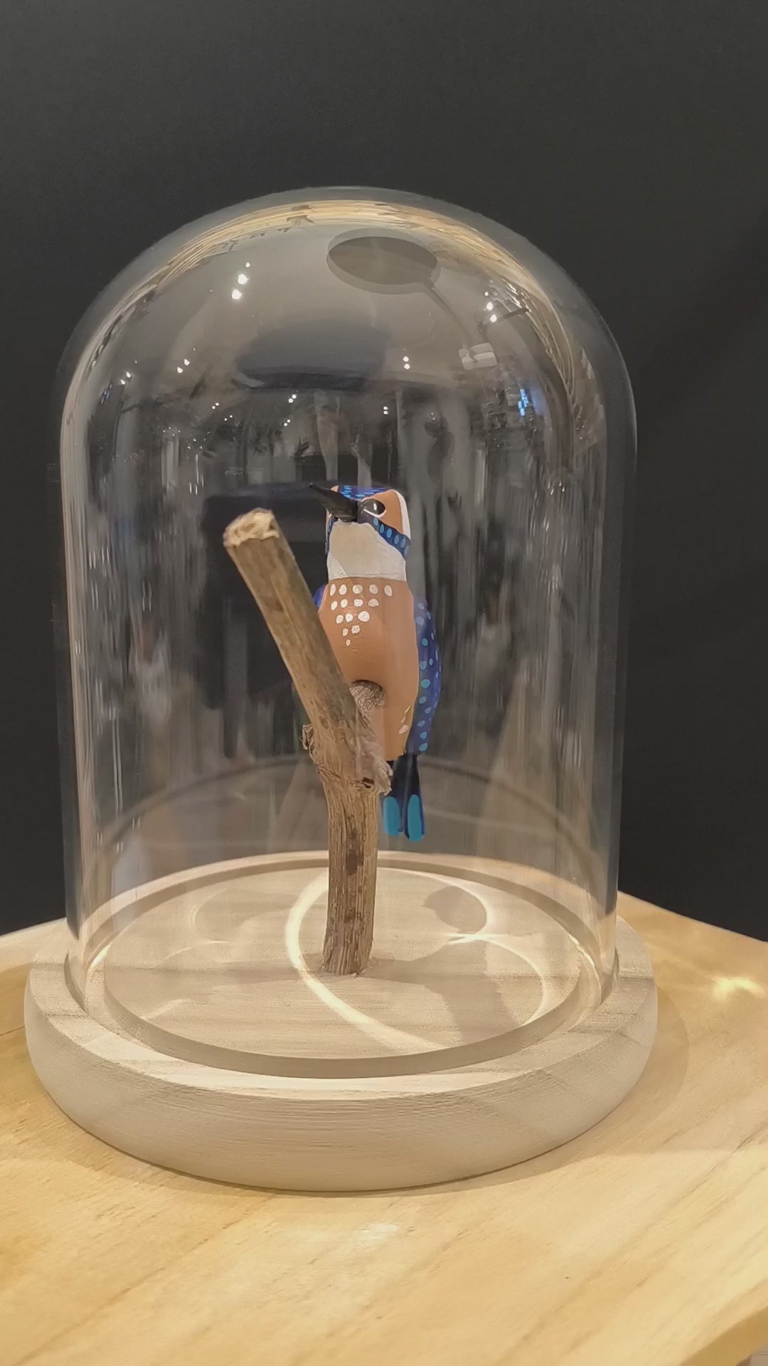 Sculpture Martin pêcheur sous cloche de verre. Argile modelée et peinte à la main à Angers, France.