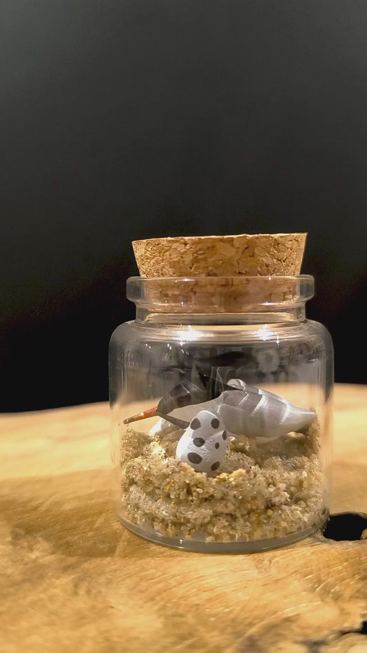 Sterne pierregarin et ses petits-Miniature sous flacon "Minuscule"