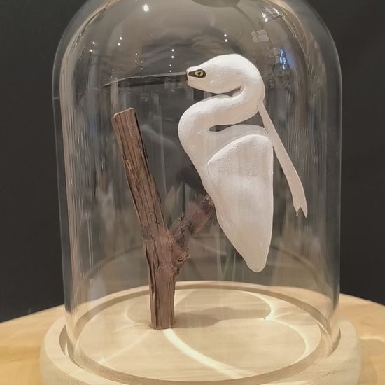 Sculpture Aigrette garzette sous cloche de verre. Argile modelée et peinte à la main à Angers, France