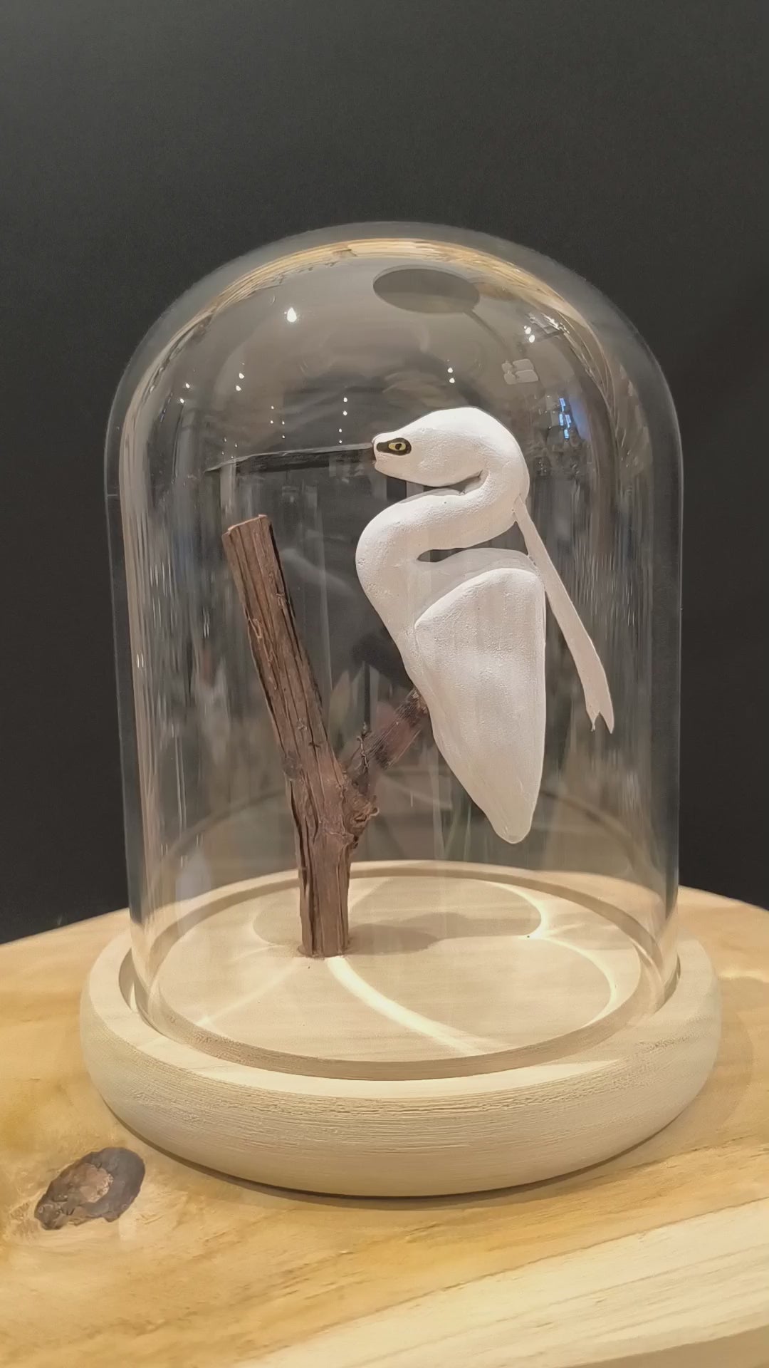 Sculpture Aigrette garzette sous cloche de verre. Argile modelée et peinte à la main à Angers, France
