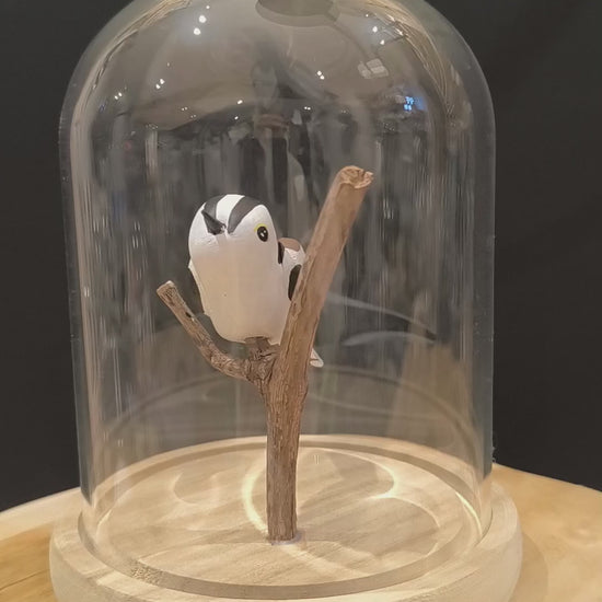 Sculpture Orite à longue queue sous cloche de verre. Argile modelée et peinte à la main à Angers, France.