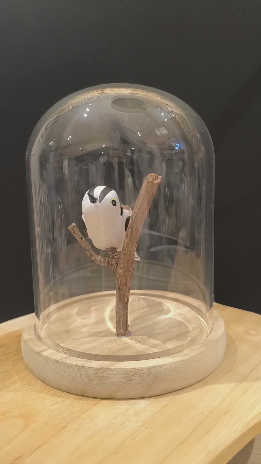 Sculpture Orite à longue queue sous cloche de verre. Argile modelée et peinte à la main à Angers, France.