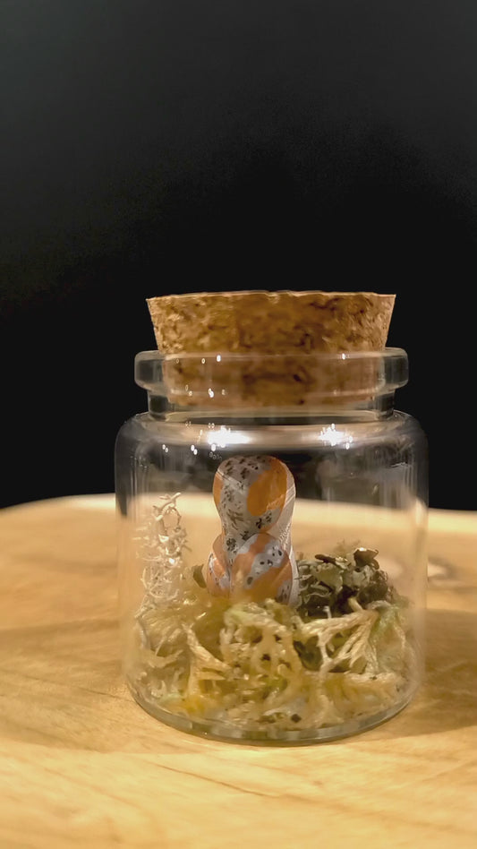 Chouette effraie-Miniature sous flacon "Minuscule"