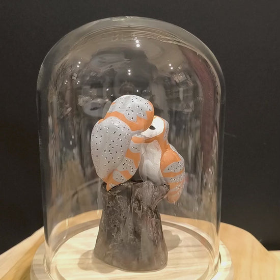 Sculpture Chouette effraie en parade nuptiale. Modelée à la main en argile (pas de moulage) et peinte à la main. Sculpté dans mon atelier à Angers, France.