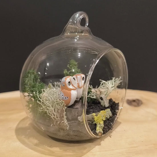 Figurines sculptées Chouette effraie en parade  nuptiale dans bulle de verre. Modelées à la main en argile (pas de moulage) et peintes à la main. Sculpté dans mon atelier à Angers, France