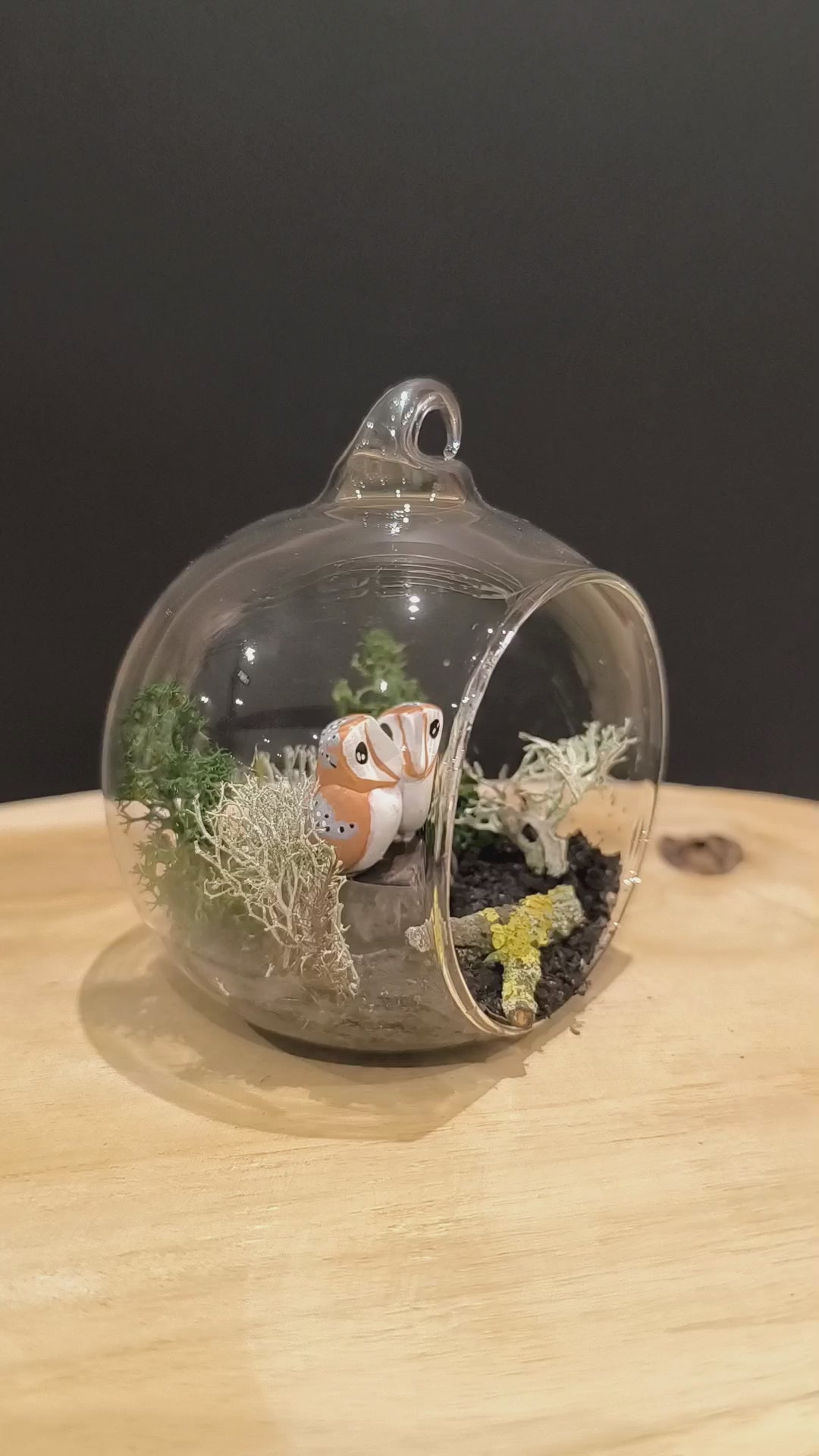 Figurines sculptées Chouette effraie en parade  nuptiale dans bulle de verre. Modelées à la main en argile (pas de moulage) et peintes à la main. Sculpté dans mon atelier à Angers, France