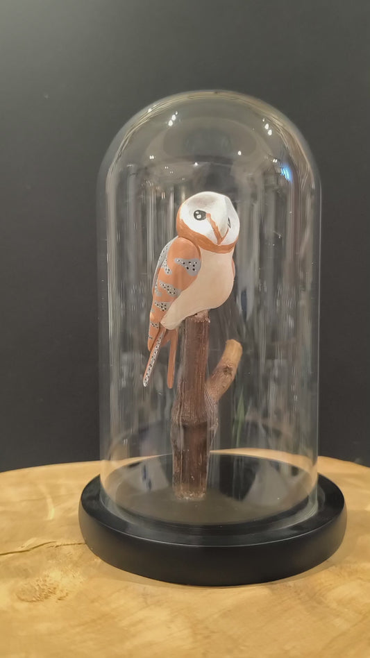 CHOUETTE EFFRAIE sous cloche de verre, façon cabinet de curiosité