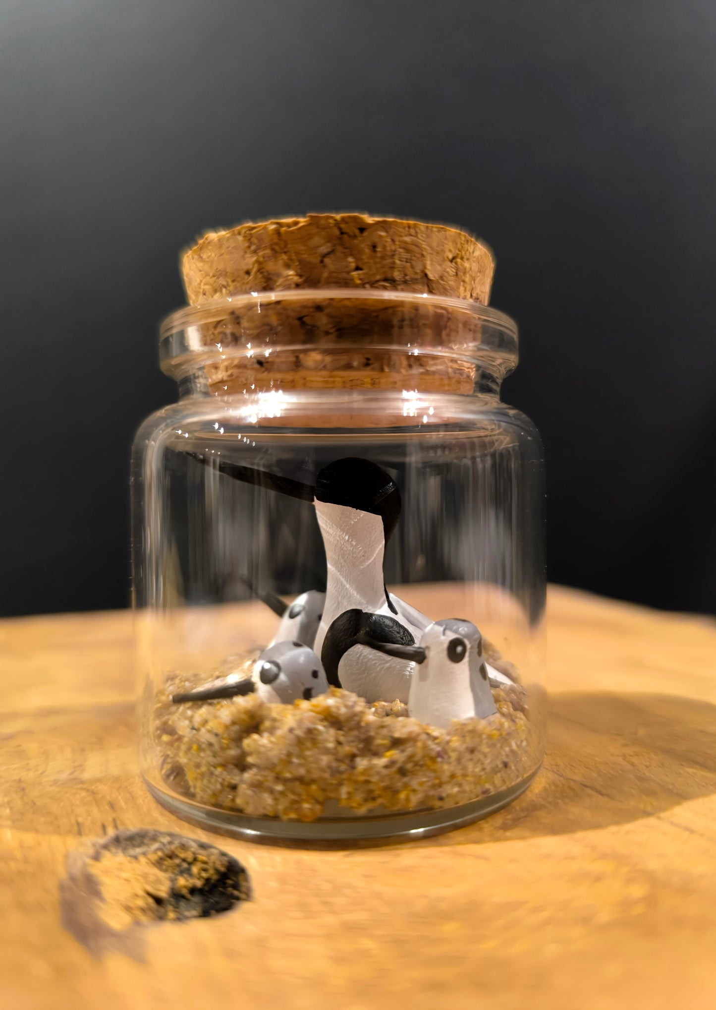 Avocette élégante et ses petits-Miniature sous flacon "Minuscule"