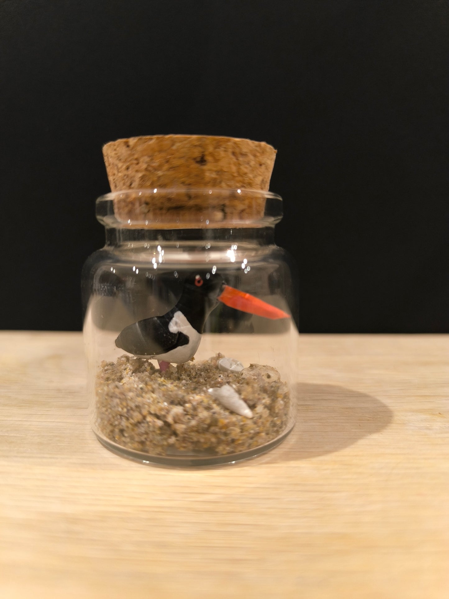 Huitrier Pie-Miniature sous flacon "Minuscule"