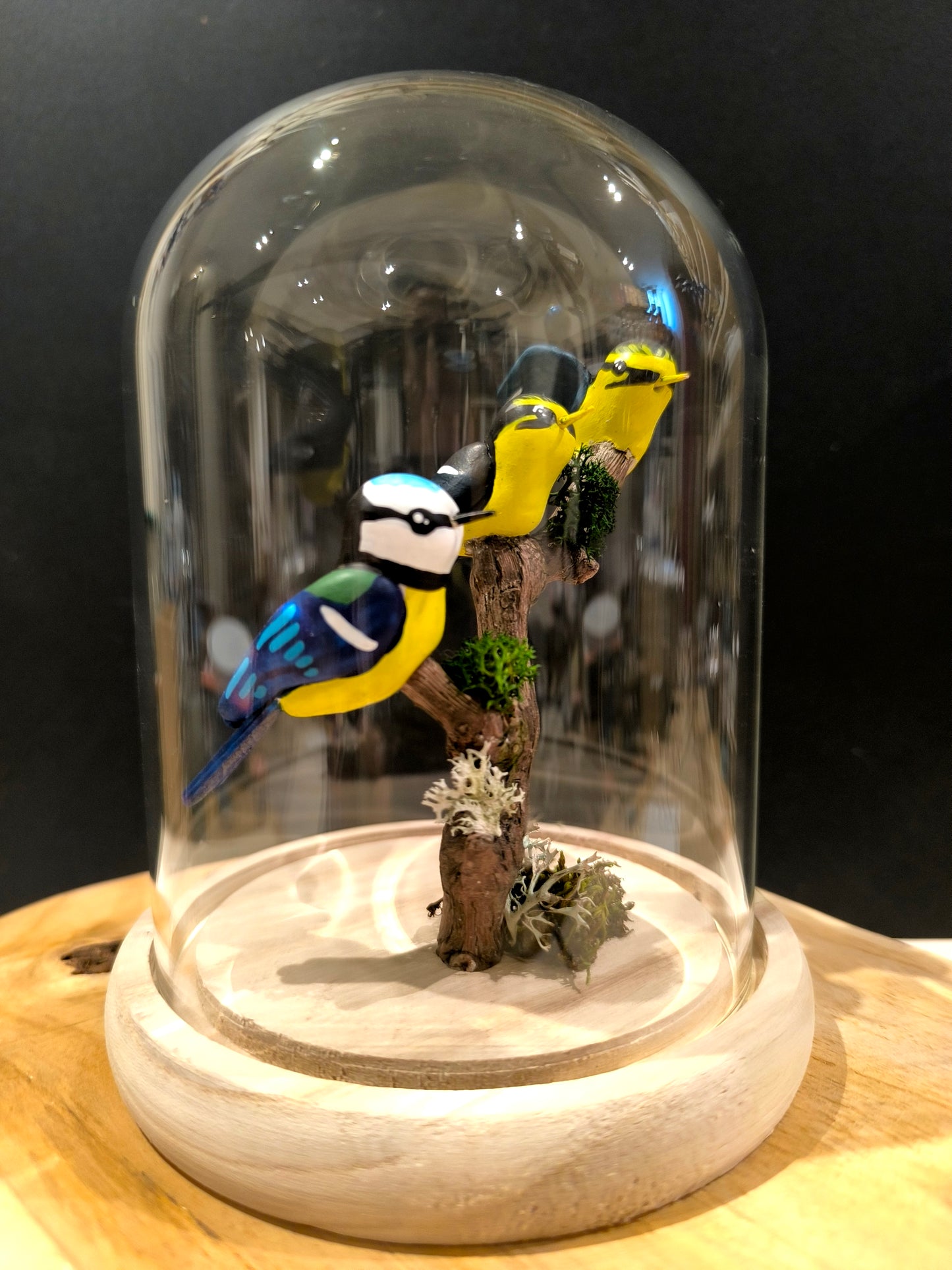 Mésange bleue et ses petits sous cloche