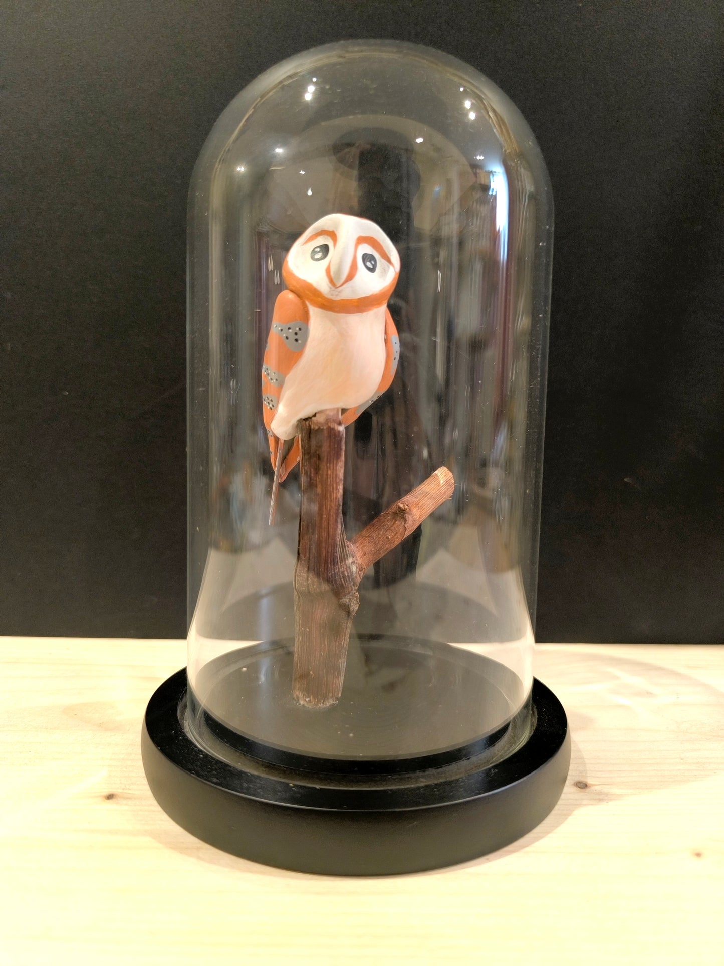 CHOUETTE EFFRAIE sous cloche de verre, façon cabinet de curiosité