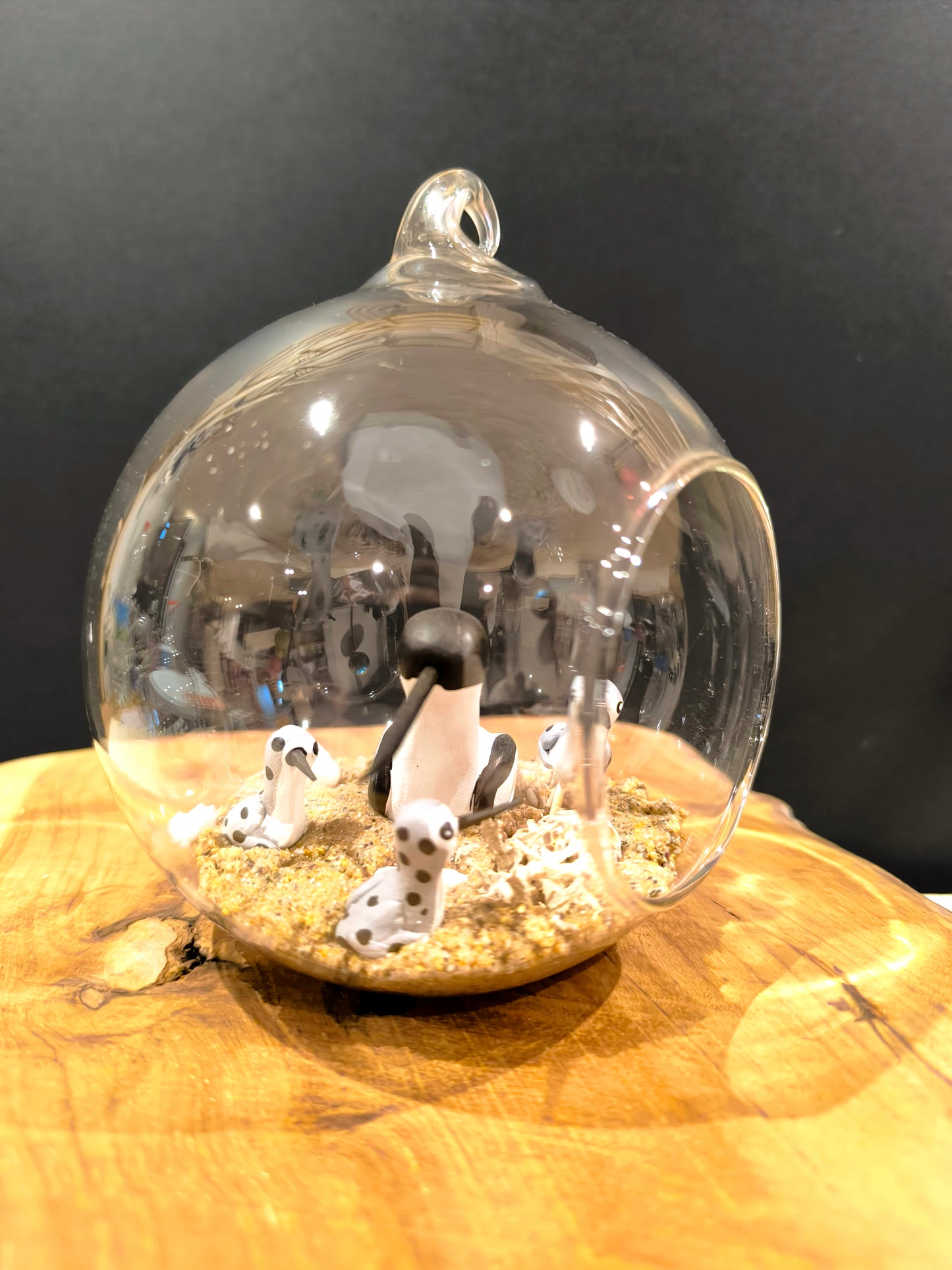 Avocette avec ses petits- Grande bulle de Rêve