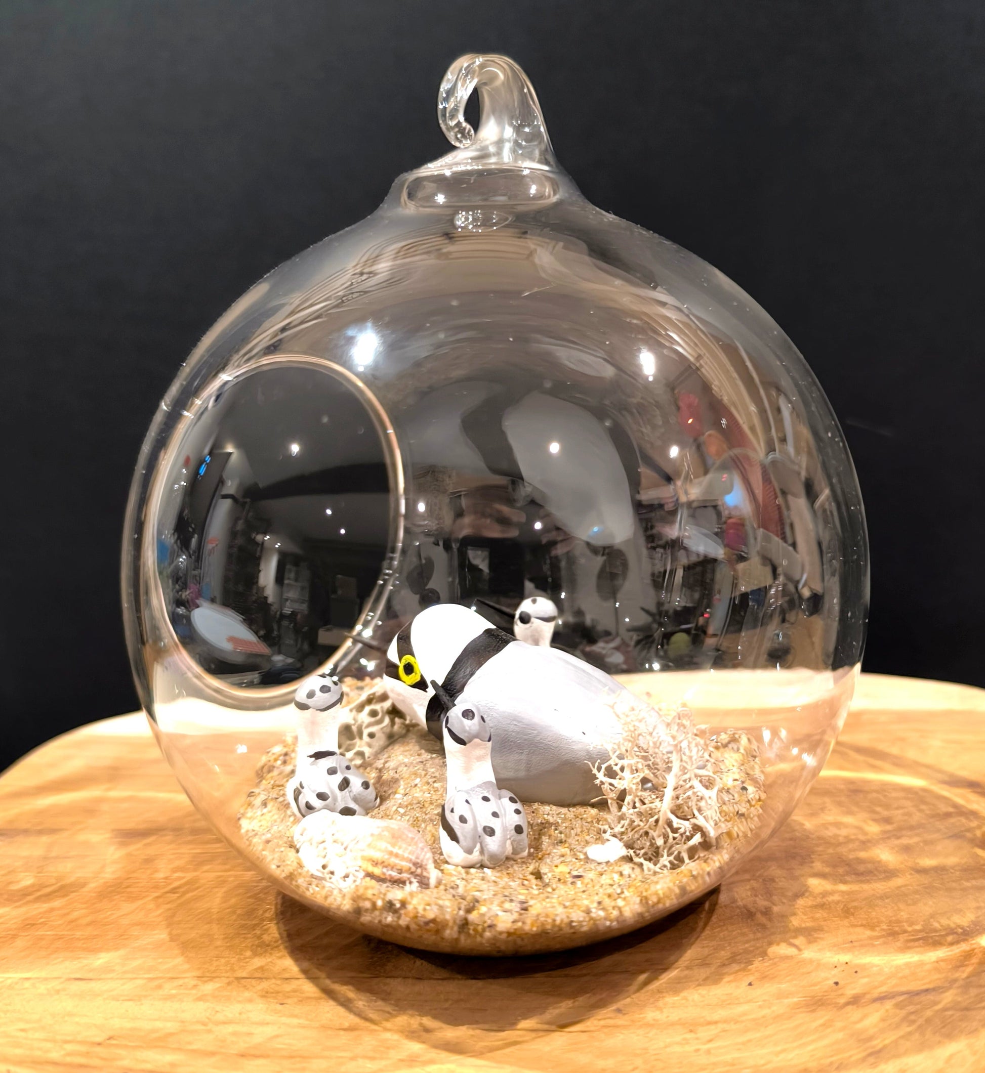 Figurine sculptée oiseau Petit gravelot avec ses bébés, avec décor naturel dans bulle de verre. Fait main en France