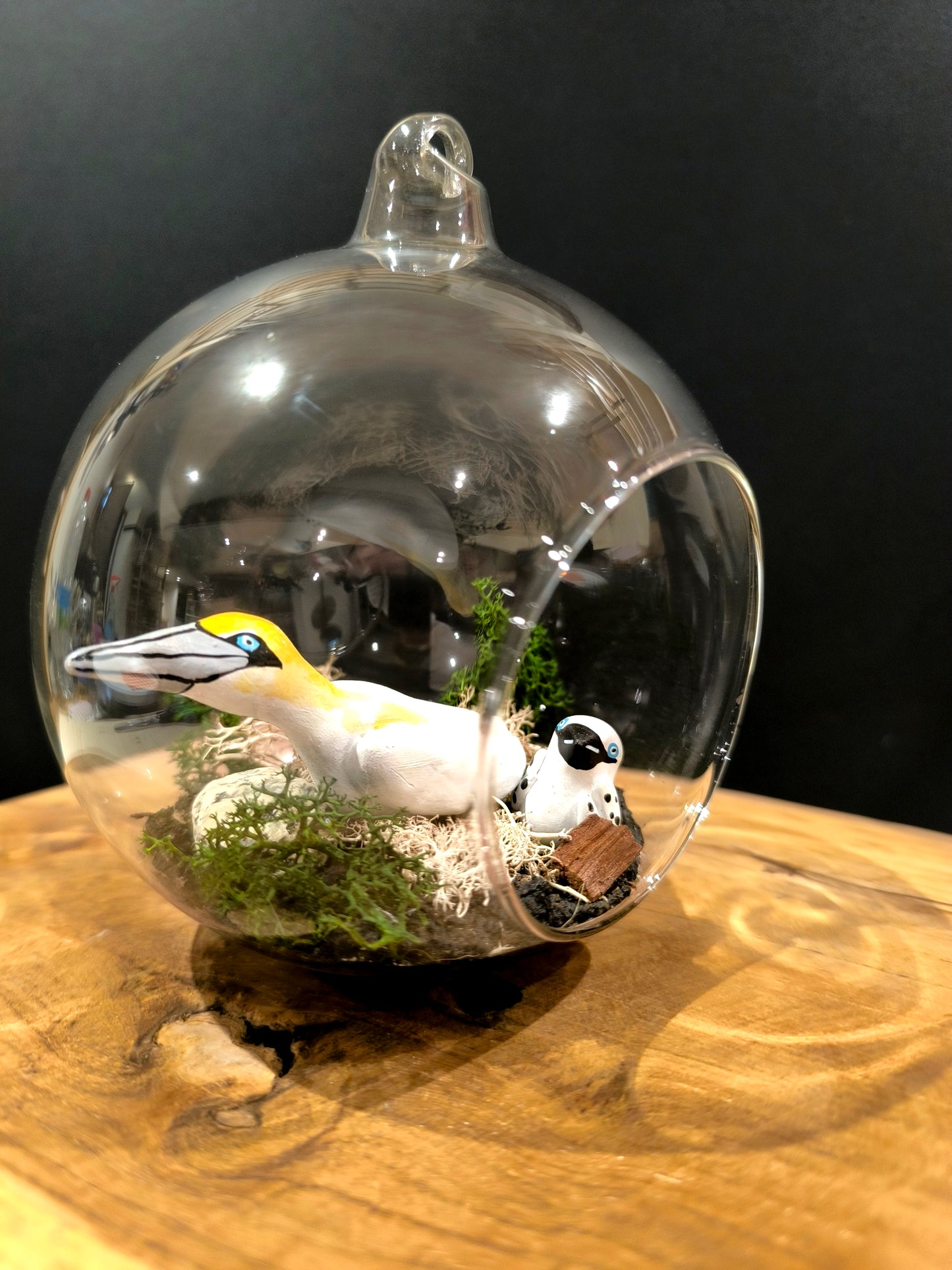 FOU DE BASSAN AVEC SON PETIT - Suspension "bulle de Rêve"