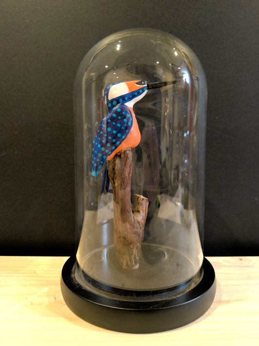 MARTIN PECHEUR  avec son poisson sous cloche de verre, façon "cabinet de curiosité"