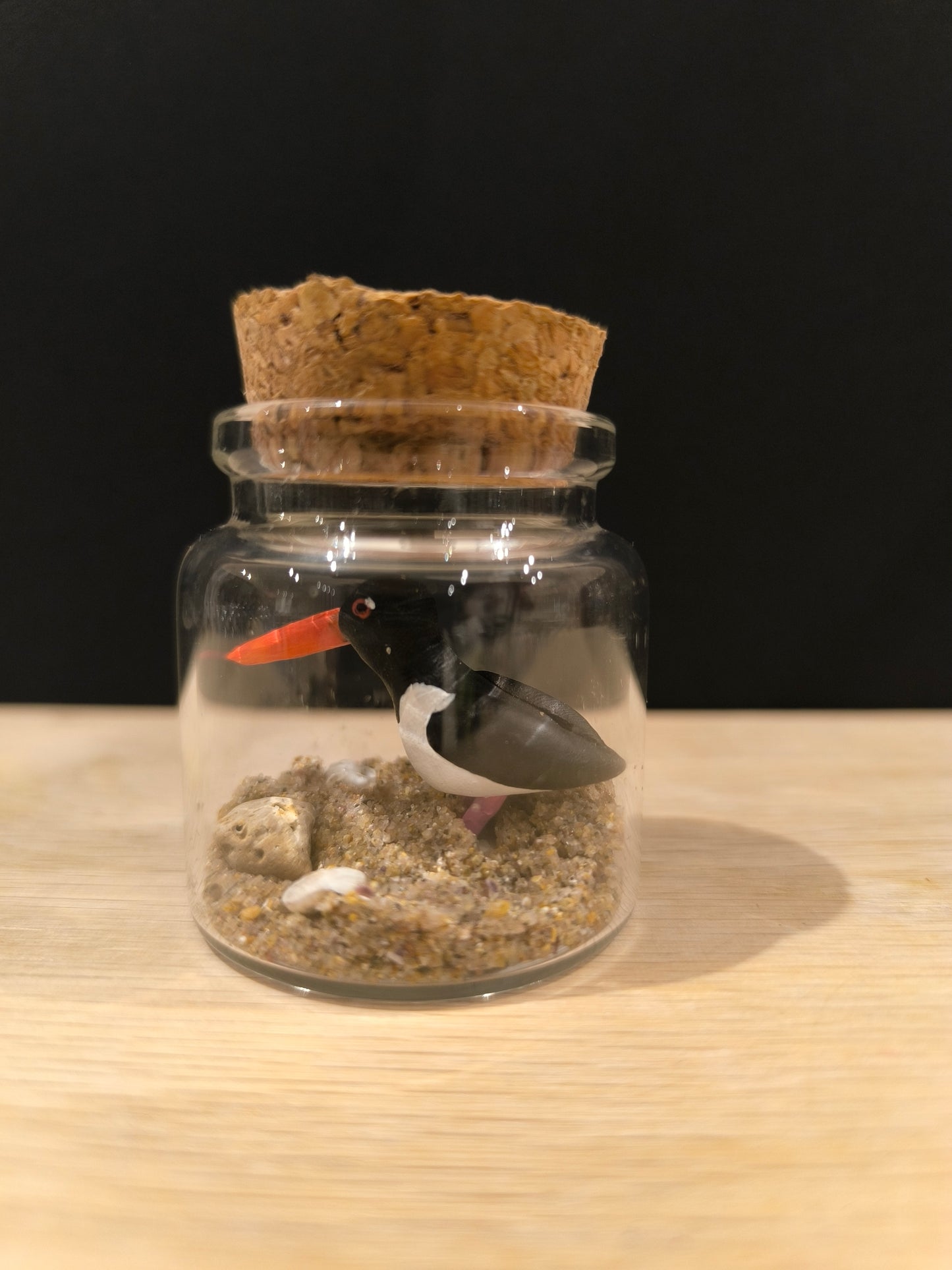 Figurine oiseau Huitrier pie miniature dans petit flacon de verre