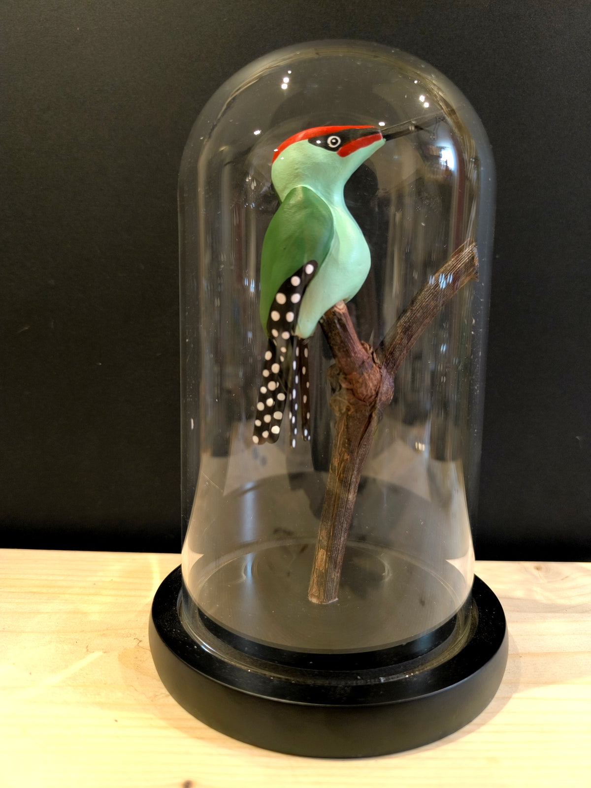 PIC VERT sous cloche de verre, façon "cabinet de curiosité"