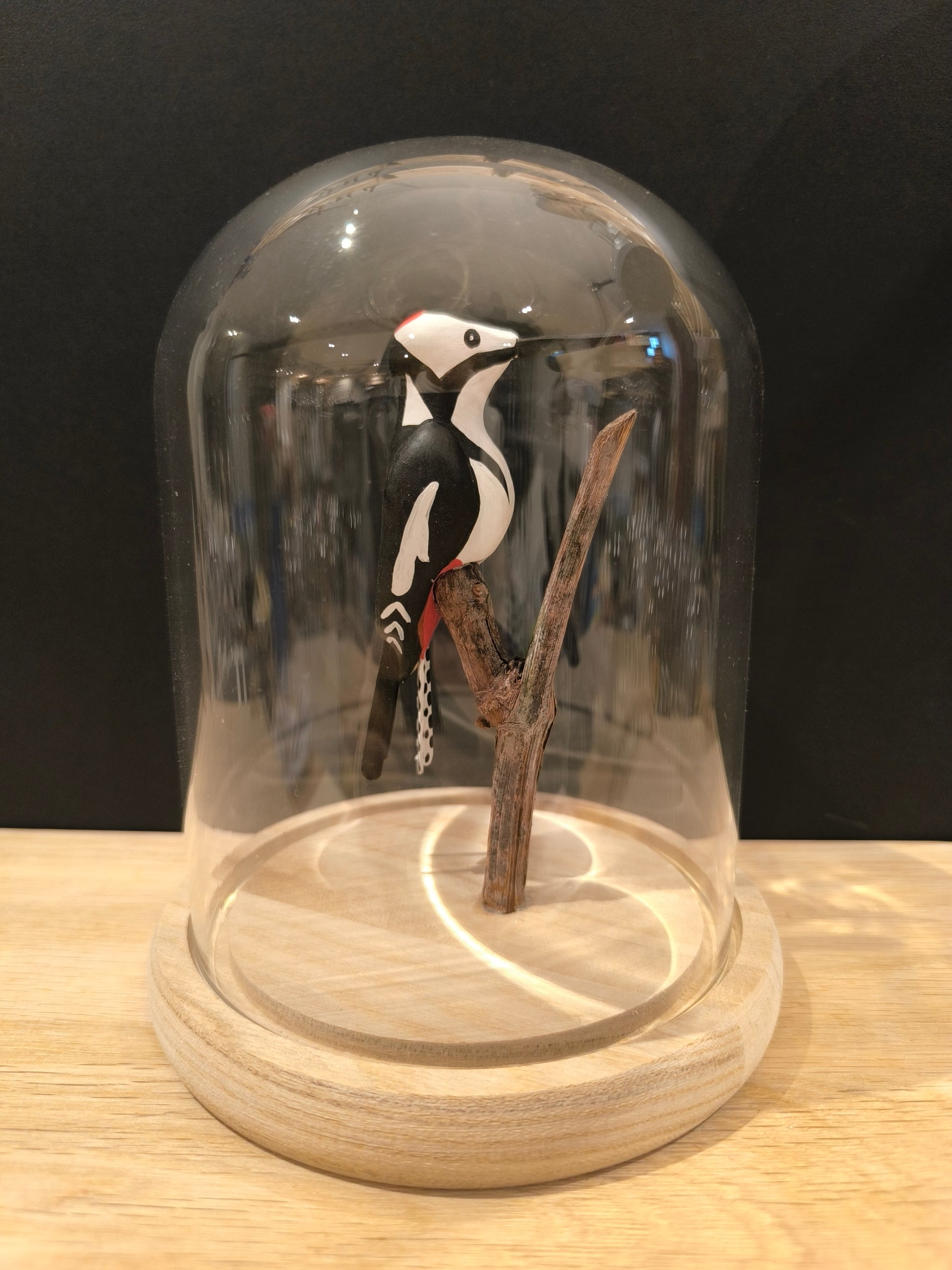 Figurine sculptée Pic épeiche sous cloche de verre décorative, façon cabinet de curiosité.