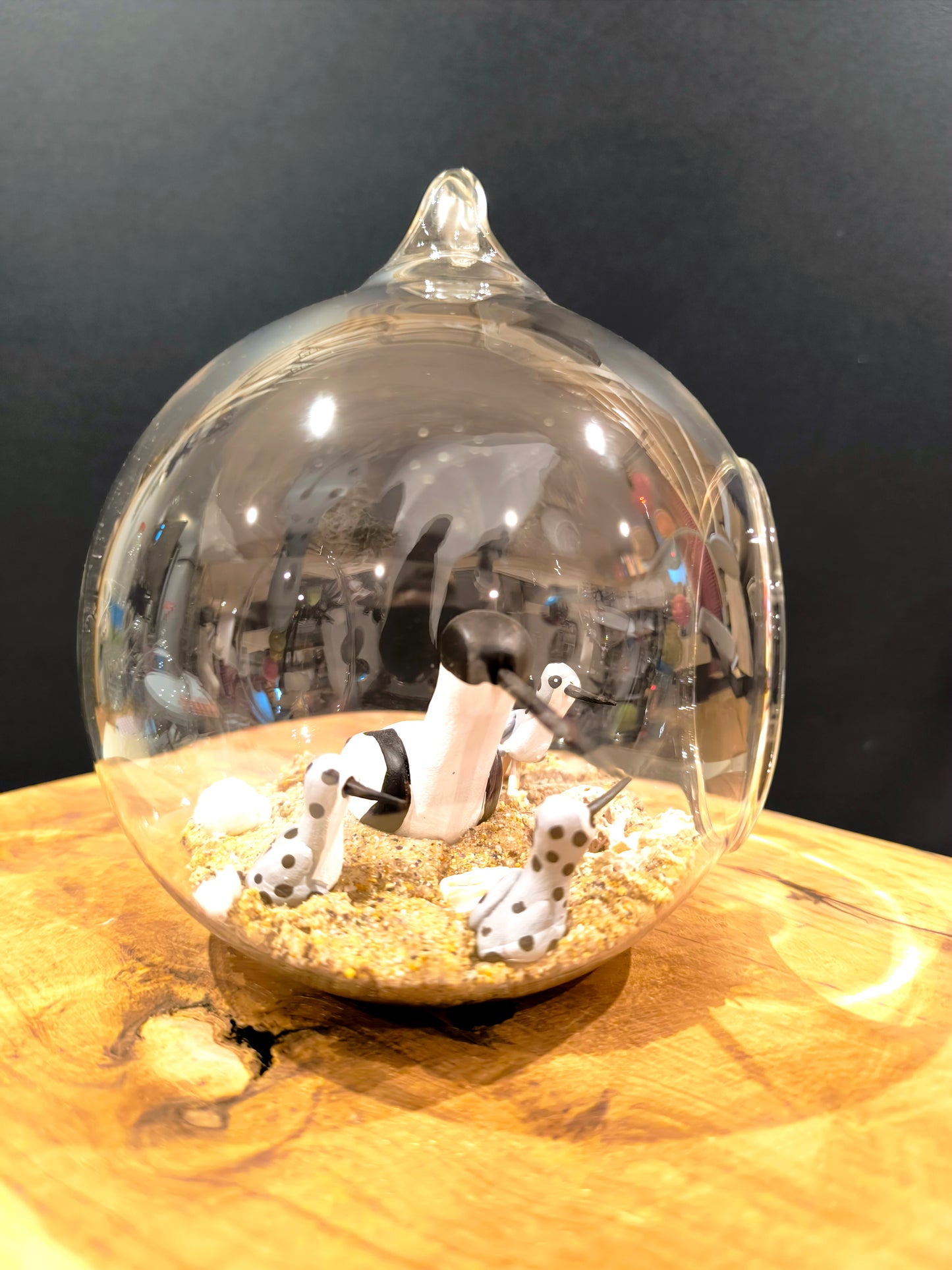 Avocette avec ses petits- Grande bulle de Rêve