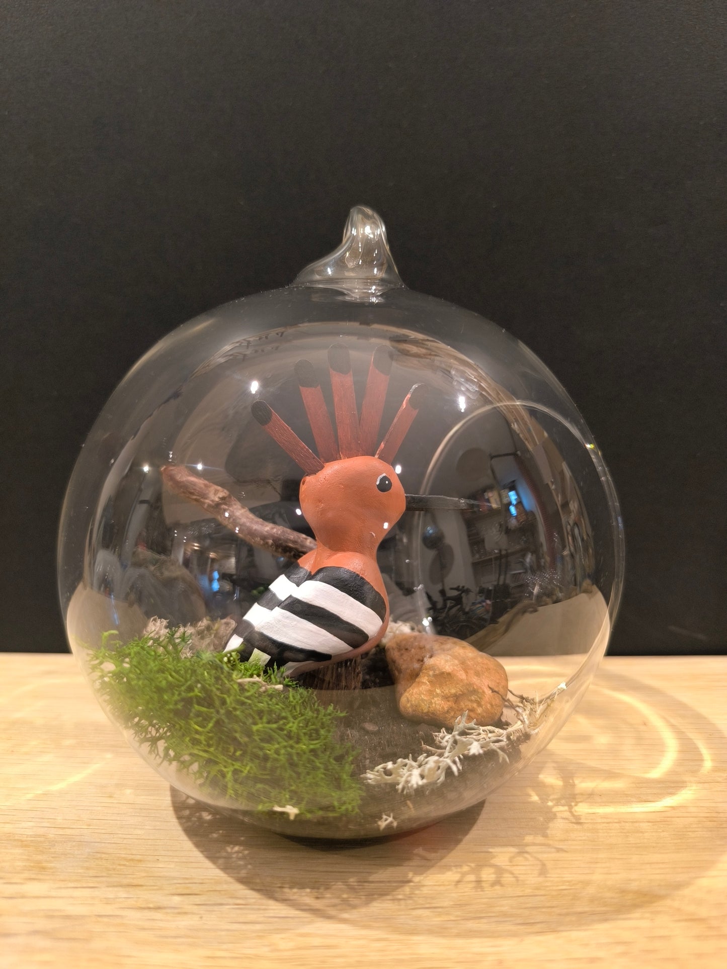 Huppe fasciée- Grande bulle de Rêve