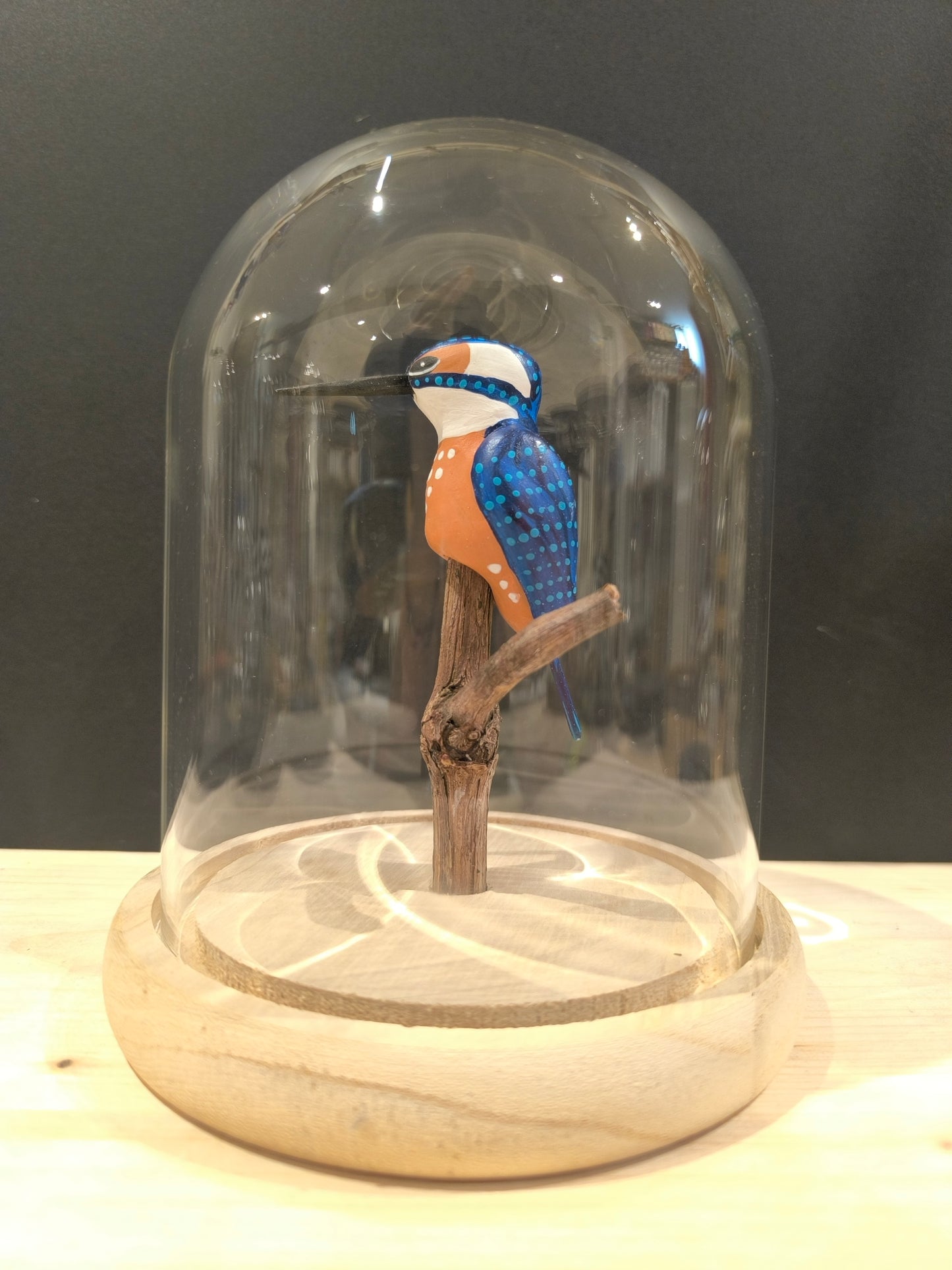 MARTIN PECHEUR sous cloche de verre, façon "cabinet de curiosité"