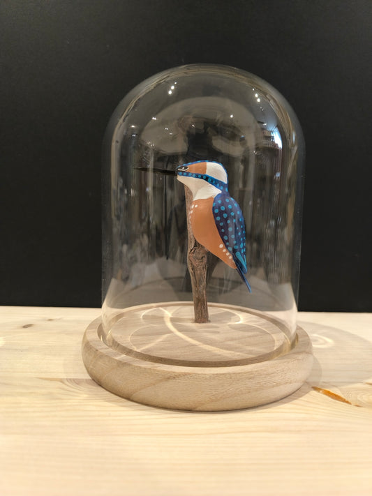 KINGFISHER under a glass bell jar, "curiosity cabinet" style