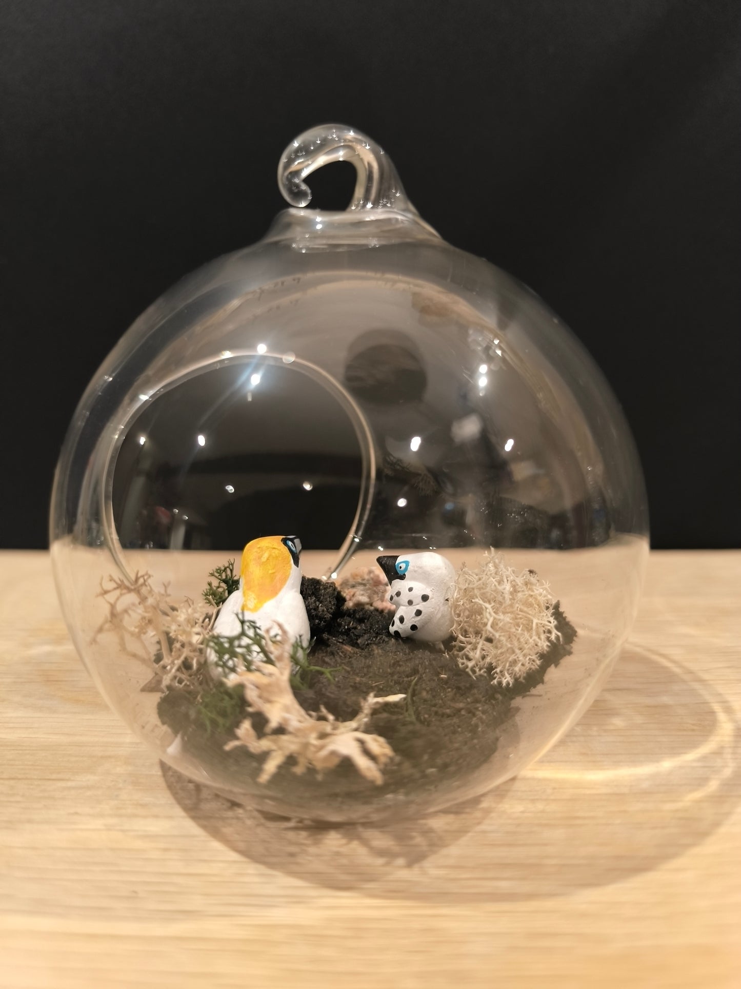 FOU DE BASSAN ET SON PETIT - Suspension bulle de Rêve