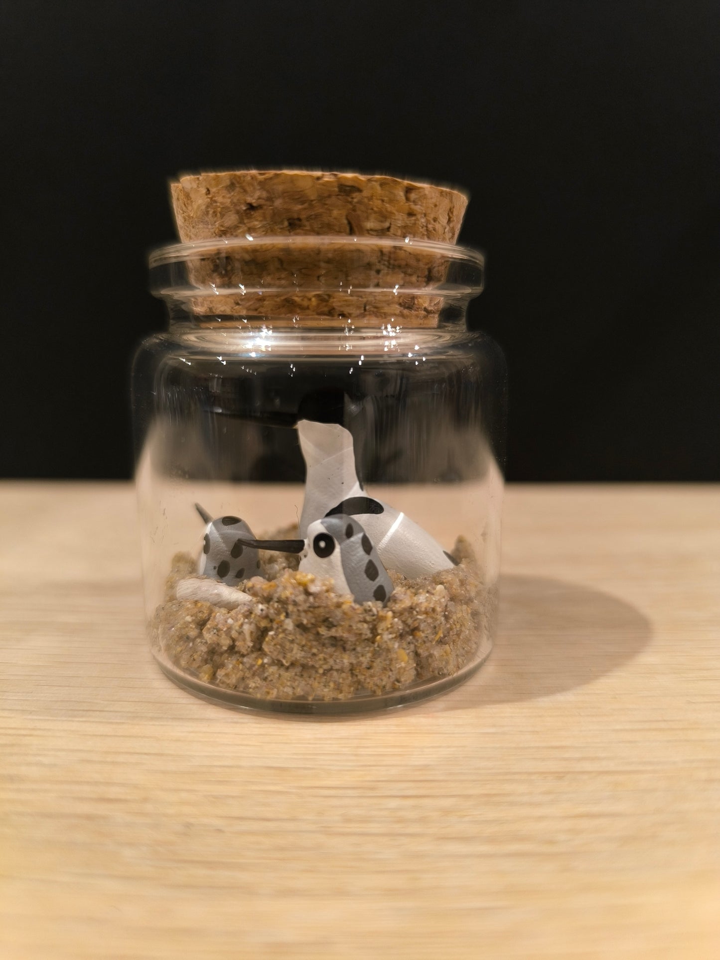 Avocette élégante et ses petits-Miniature sous flacon "Minuscule"