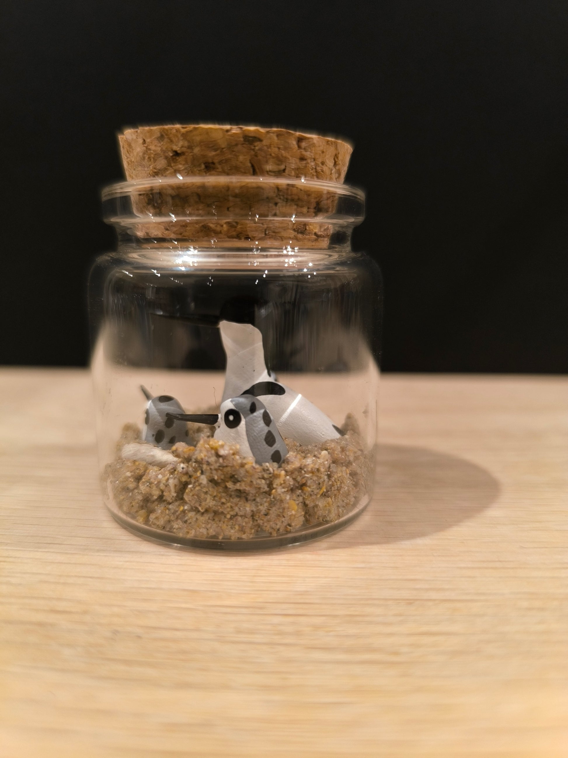 Avocette miniature avec ses petits dans flacon diorama