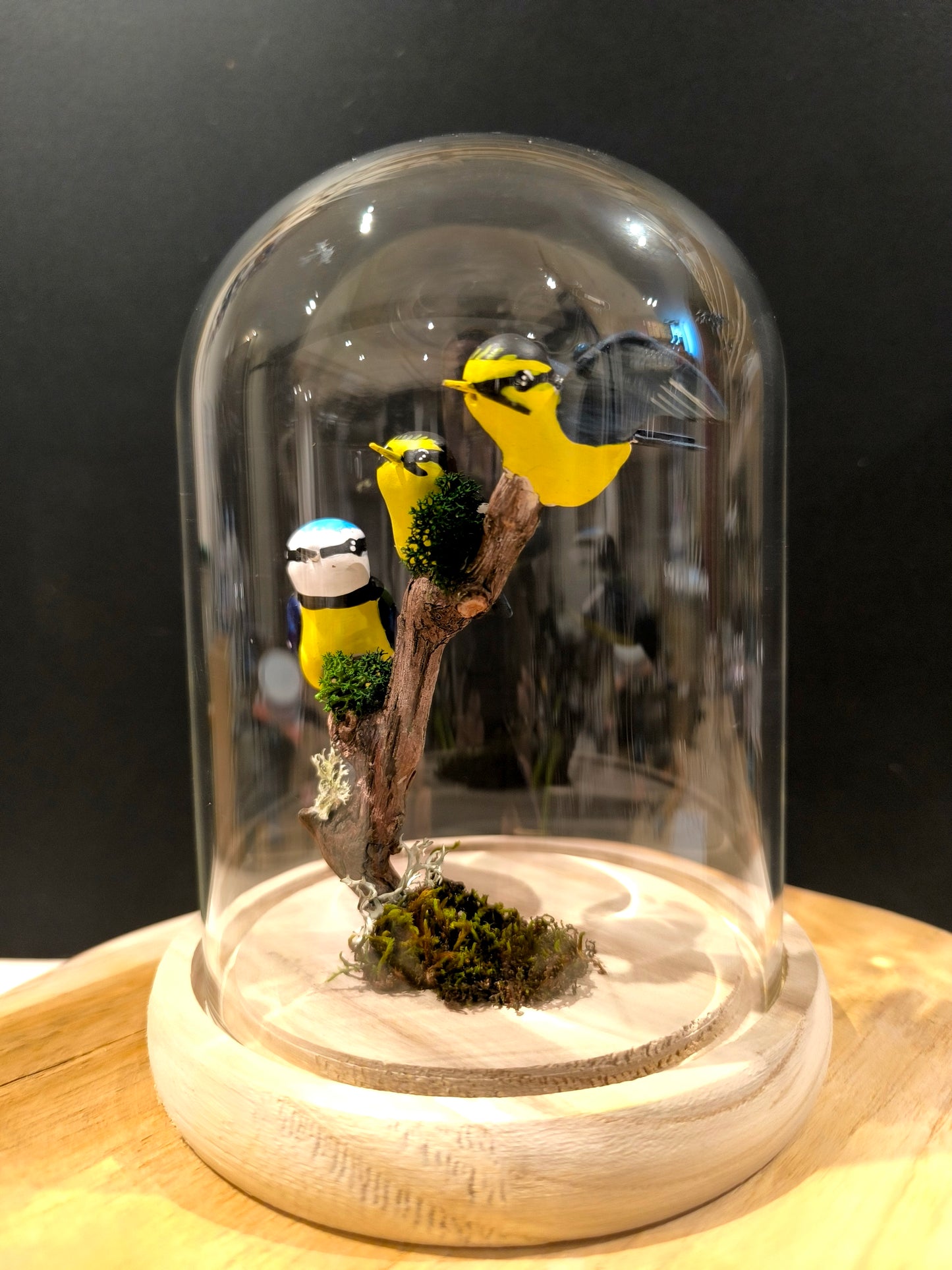Mésange bleue et ses petits sous cloche