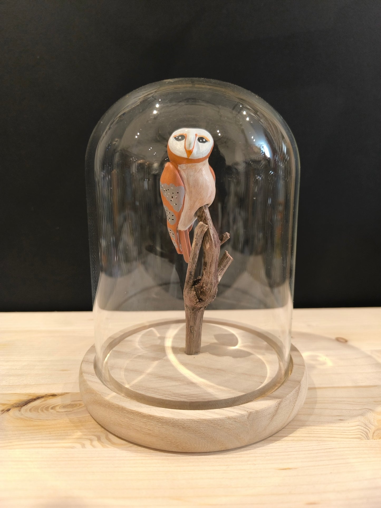 CHOUETTE EFFRAIE sous cloche de verre, façon cabinet de curiosité