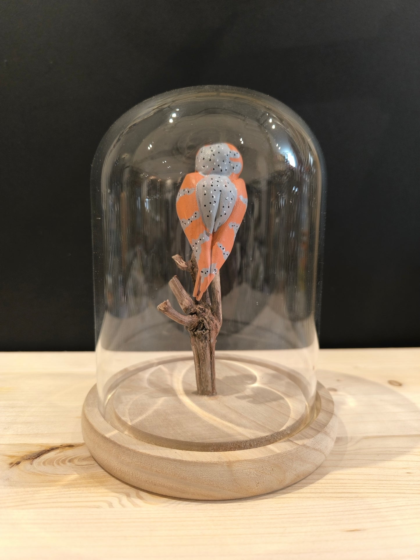 CHOUETTE EFFRAIE sous cloche de verre, façon cabinet de curiosité