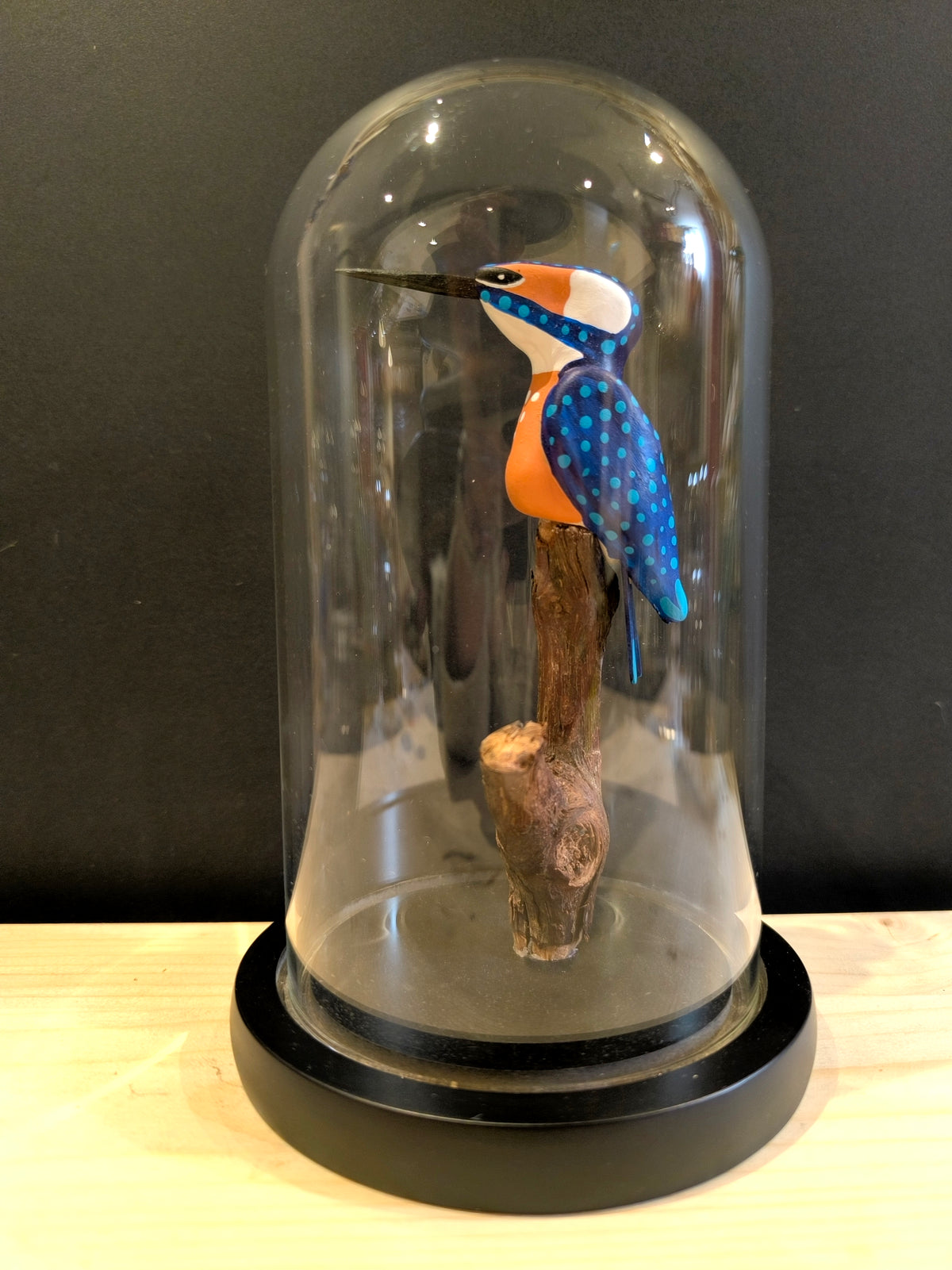 MARTIN PECHEUR  avec son poisson sous cloche de verre, façon "cabinet de curiosité"