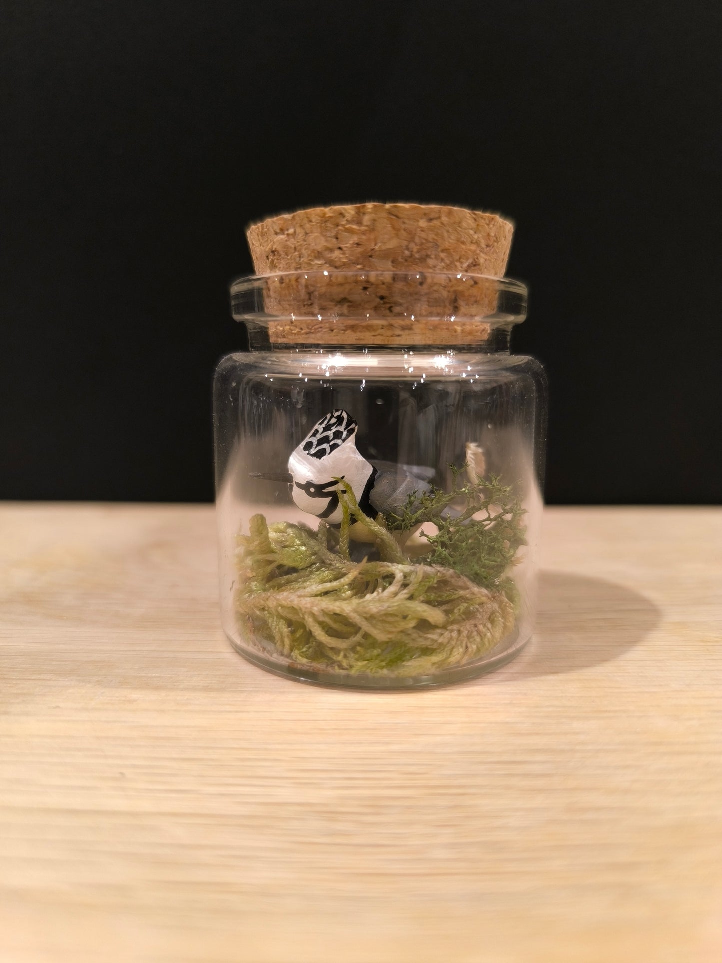 Mesange huppée-Miniature sous flacon "Minuscule"