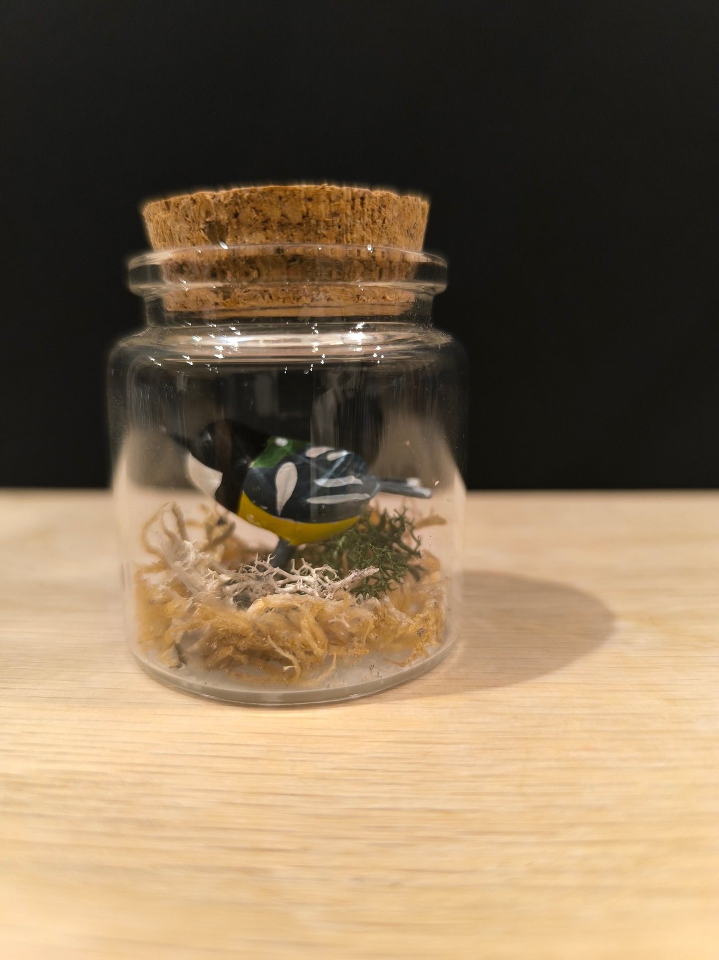 Great Tit - Miniature in a "Minuscule" bottle