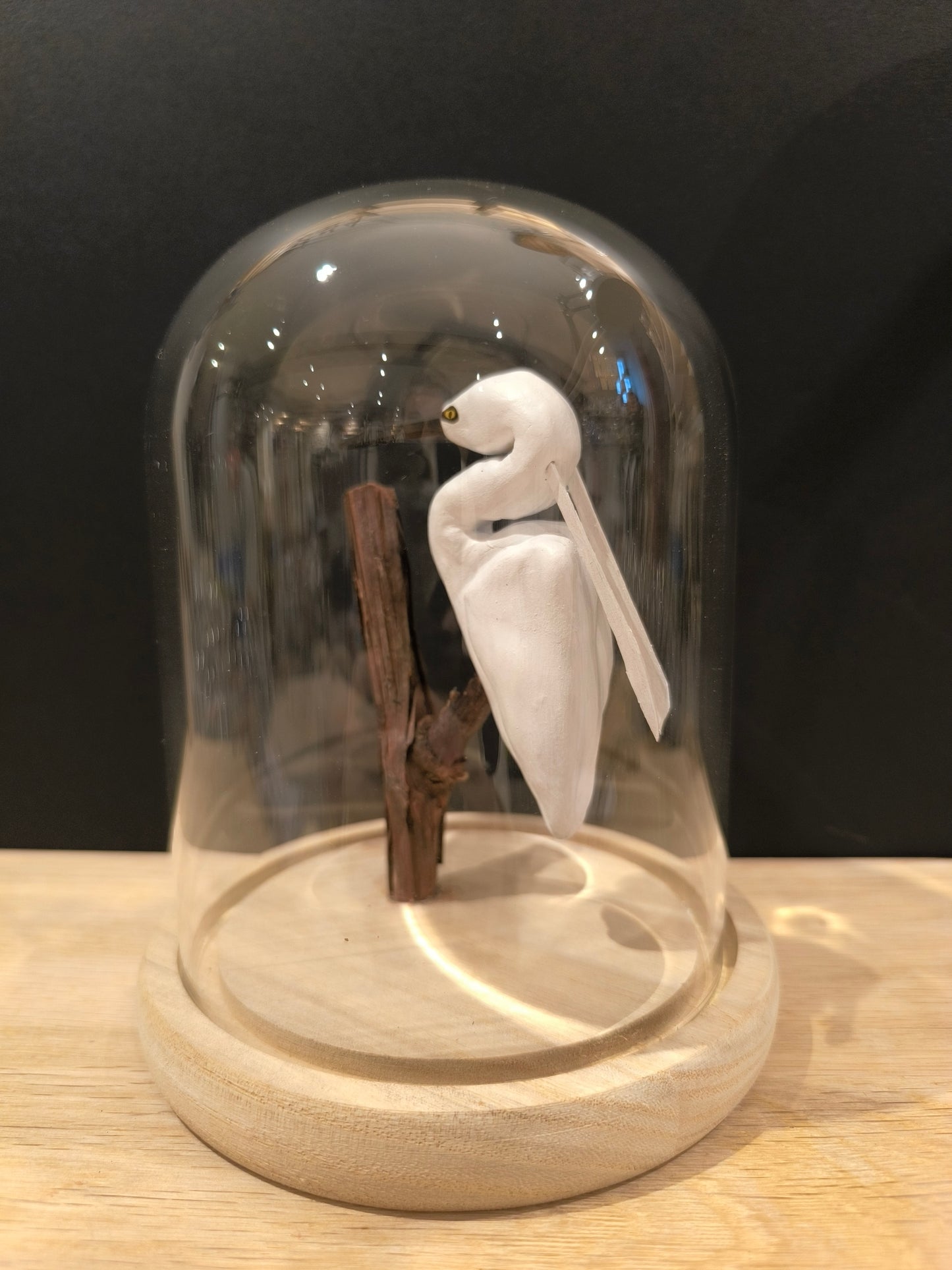 LITTLE EGRET under glass bell jar, "Cabinet of Curiosities" style