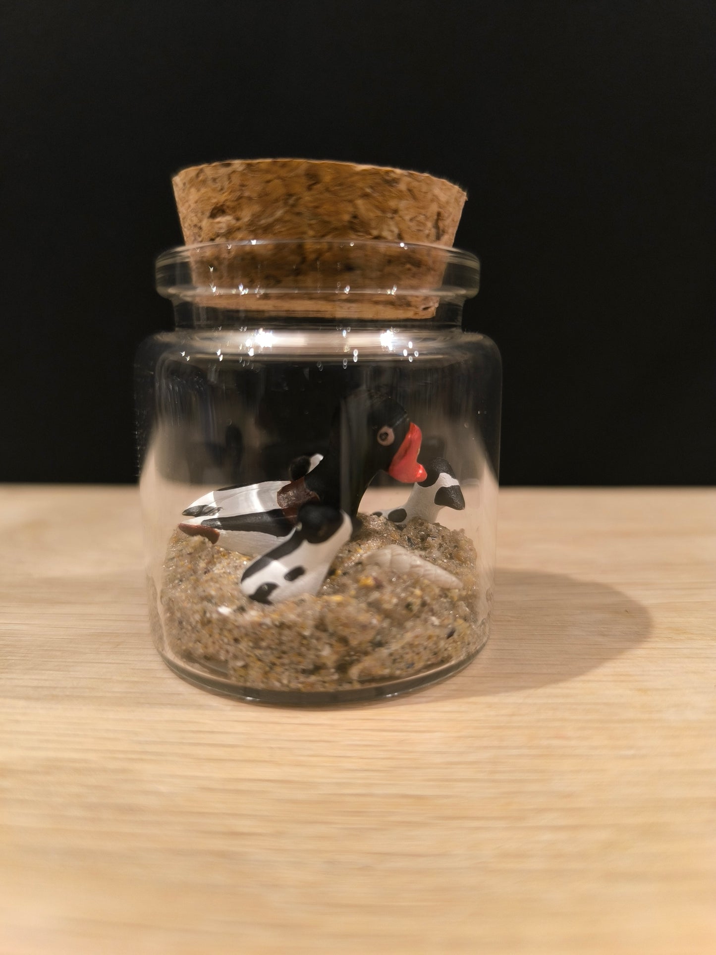 Tadorne de Belon-Miniature sous flacon "Minuscule"