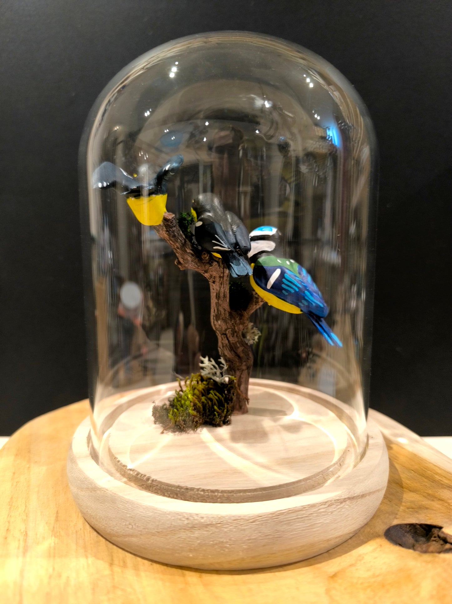 Mésange bleue et ses petits sous cloche