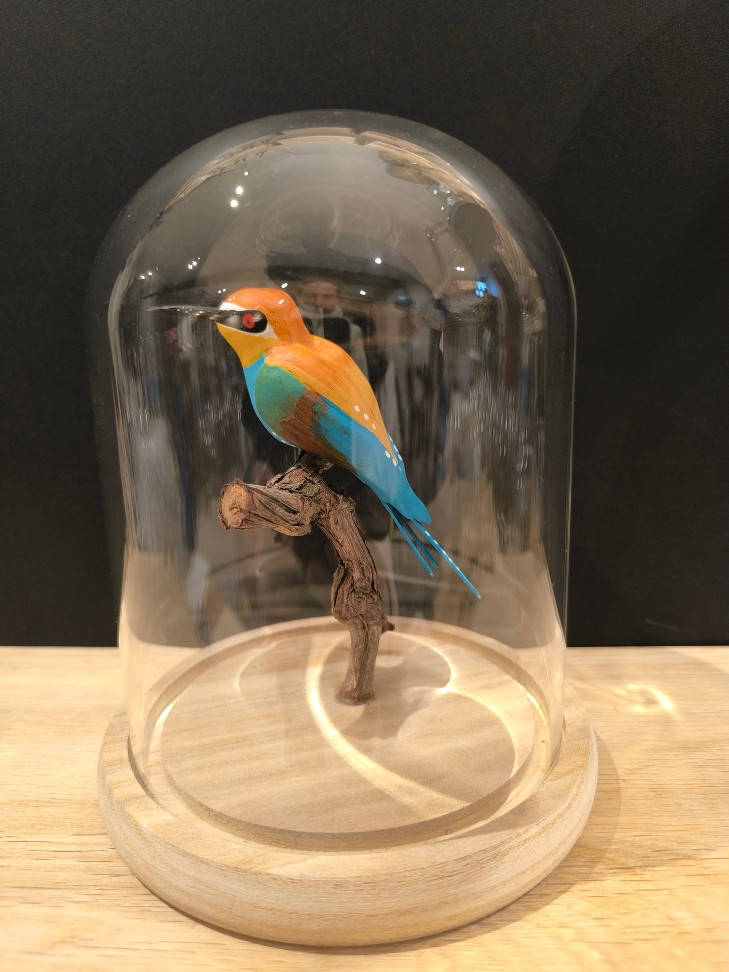 Figurine sculptée oiseau Guêpier d'Europe sous cloche de verre décorative