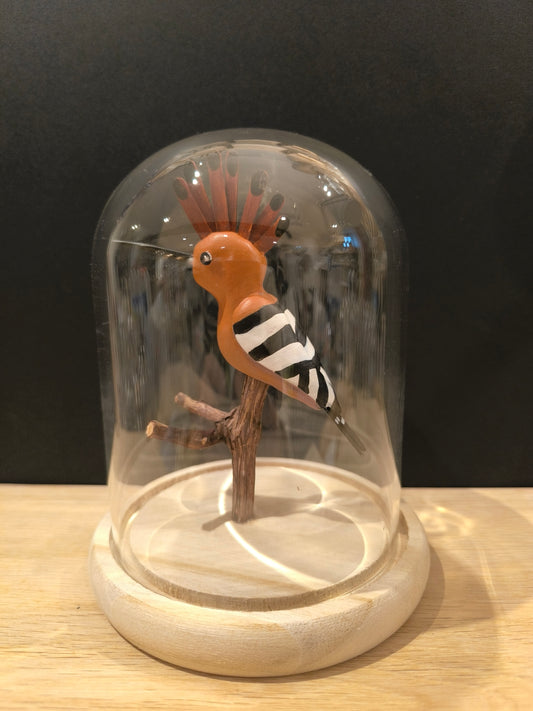 Figurine sculptée Huppe fasciée sous cloche de verre décorative