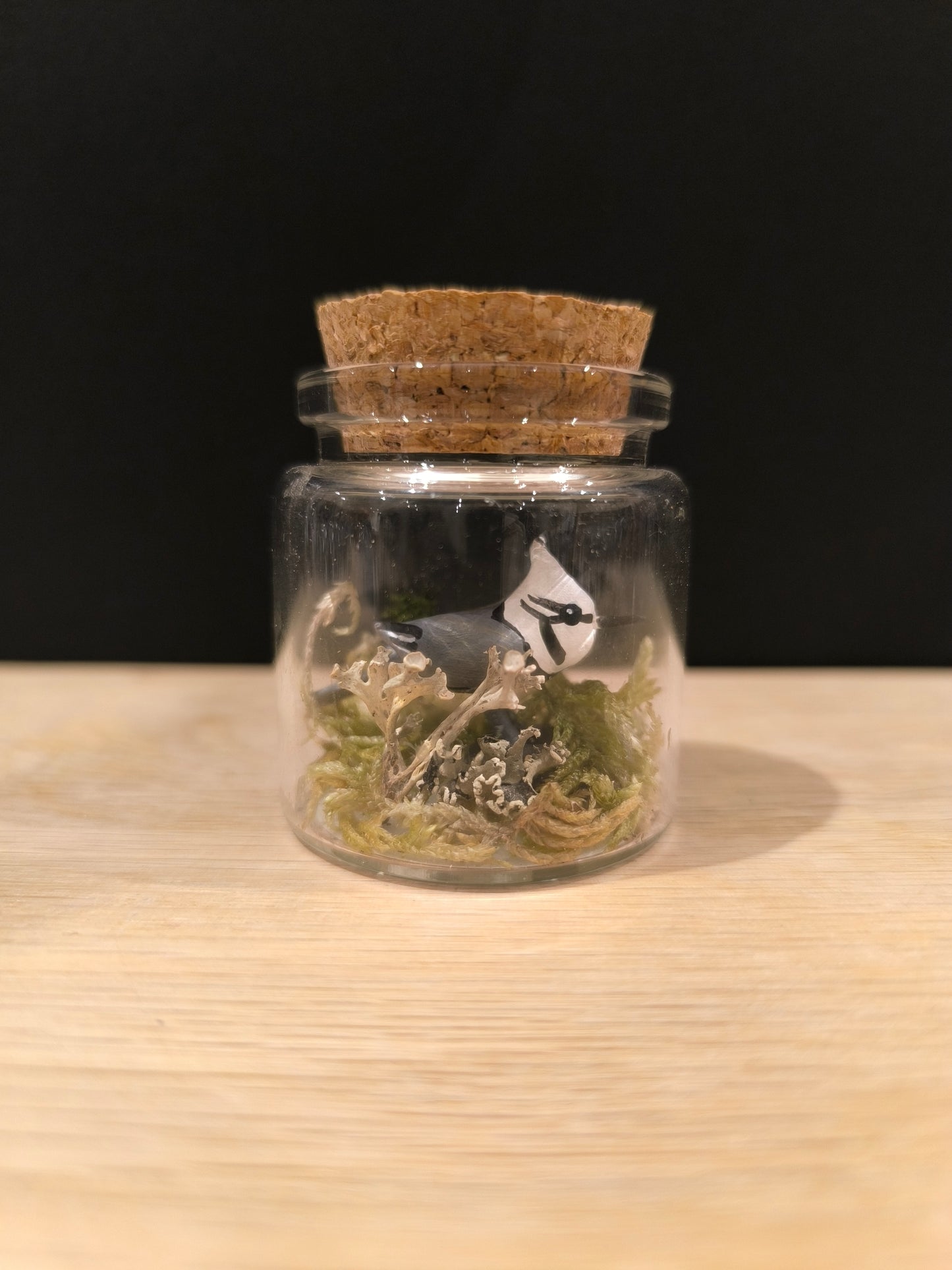 Mesange huppée-Miniature sous flacon "Minuscule"