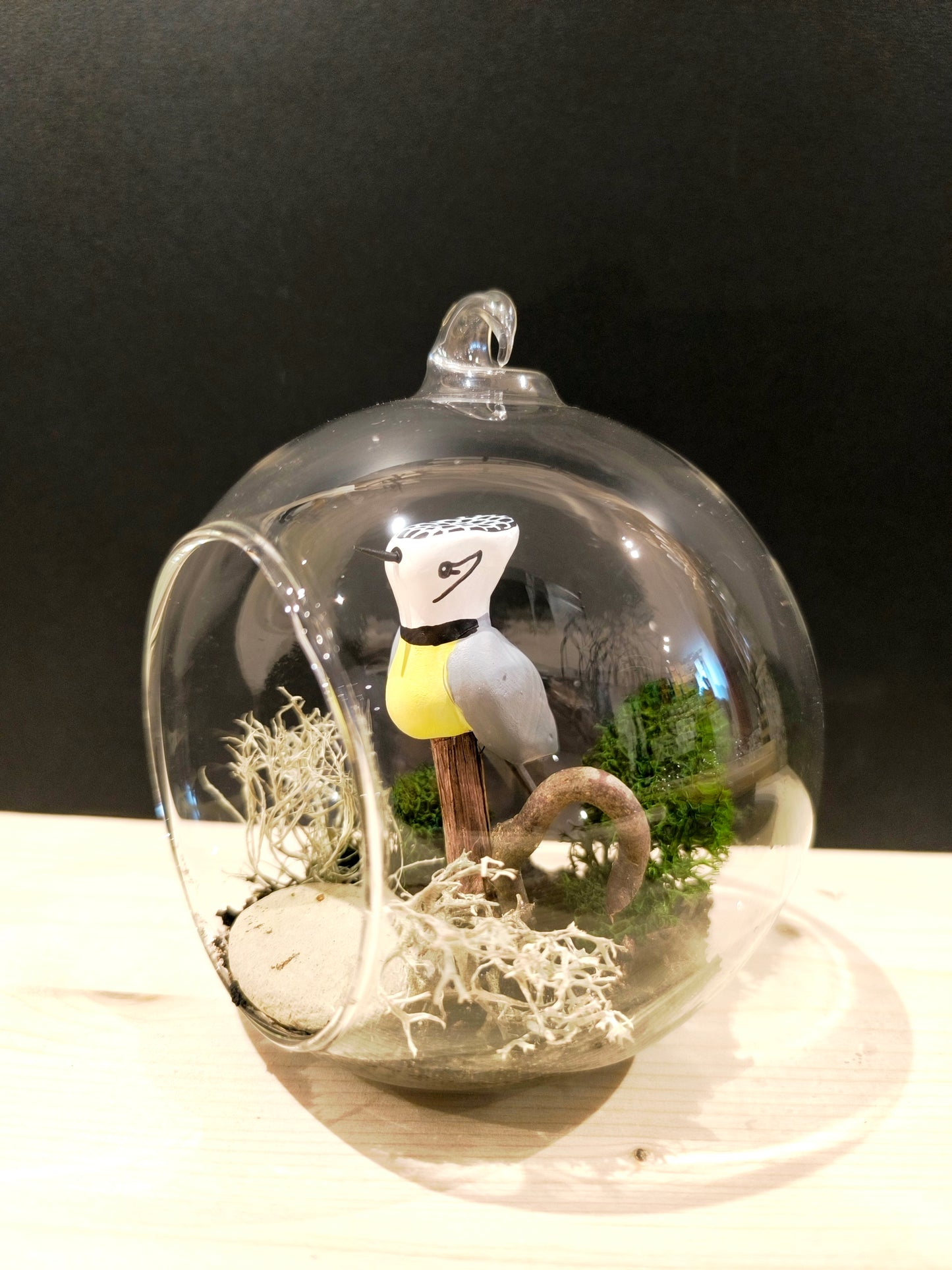 Mésange huppée sur sa branche- Grande bulle de Rêve