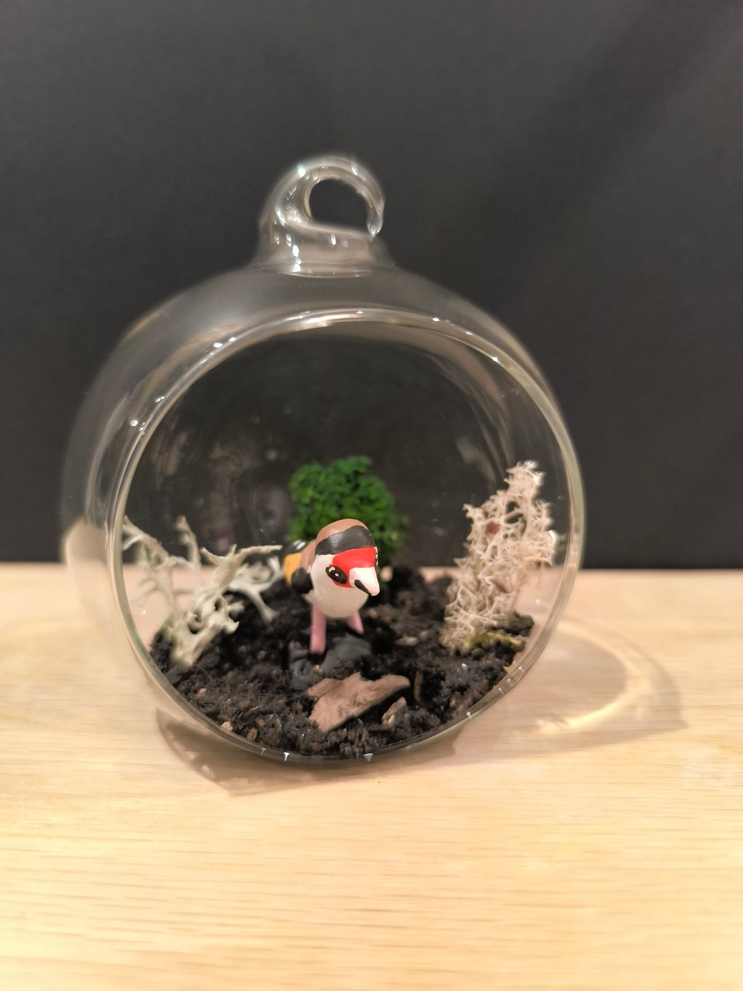 Chardonneret élégant miniature dans petit décor