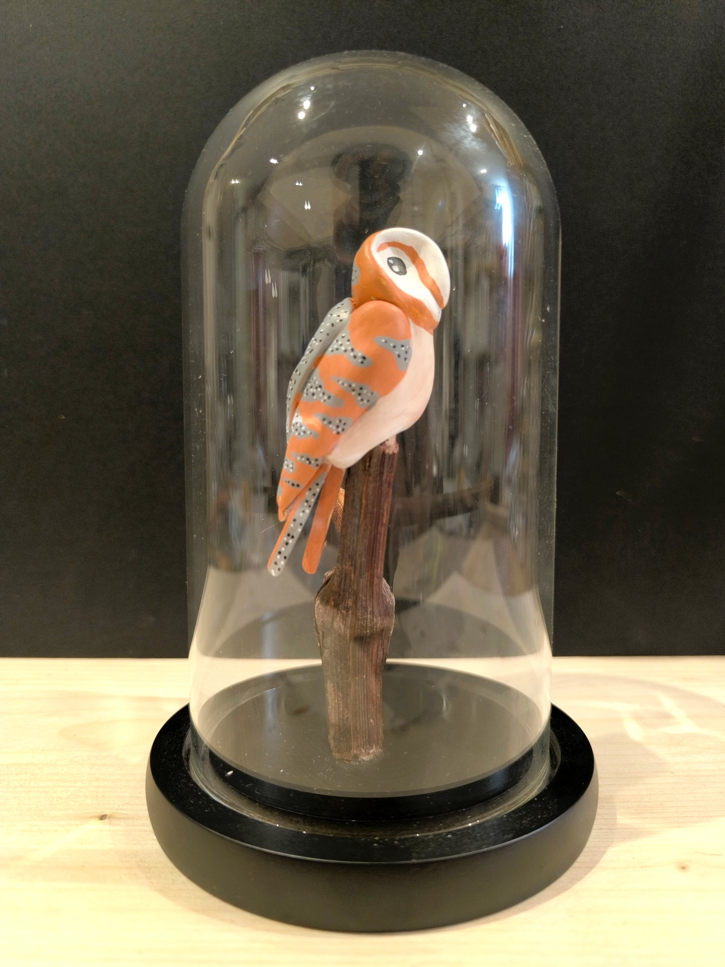 CHOUETTE EFFRAIE sous cloche de verre, façon cabinet de curiosité