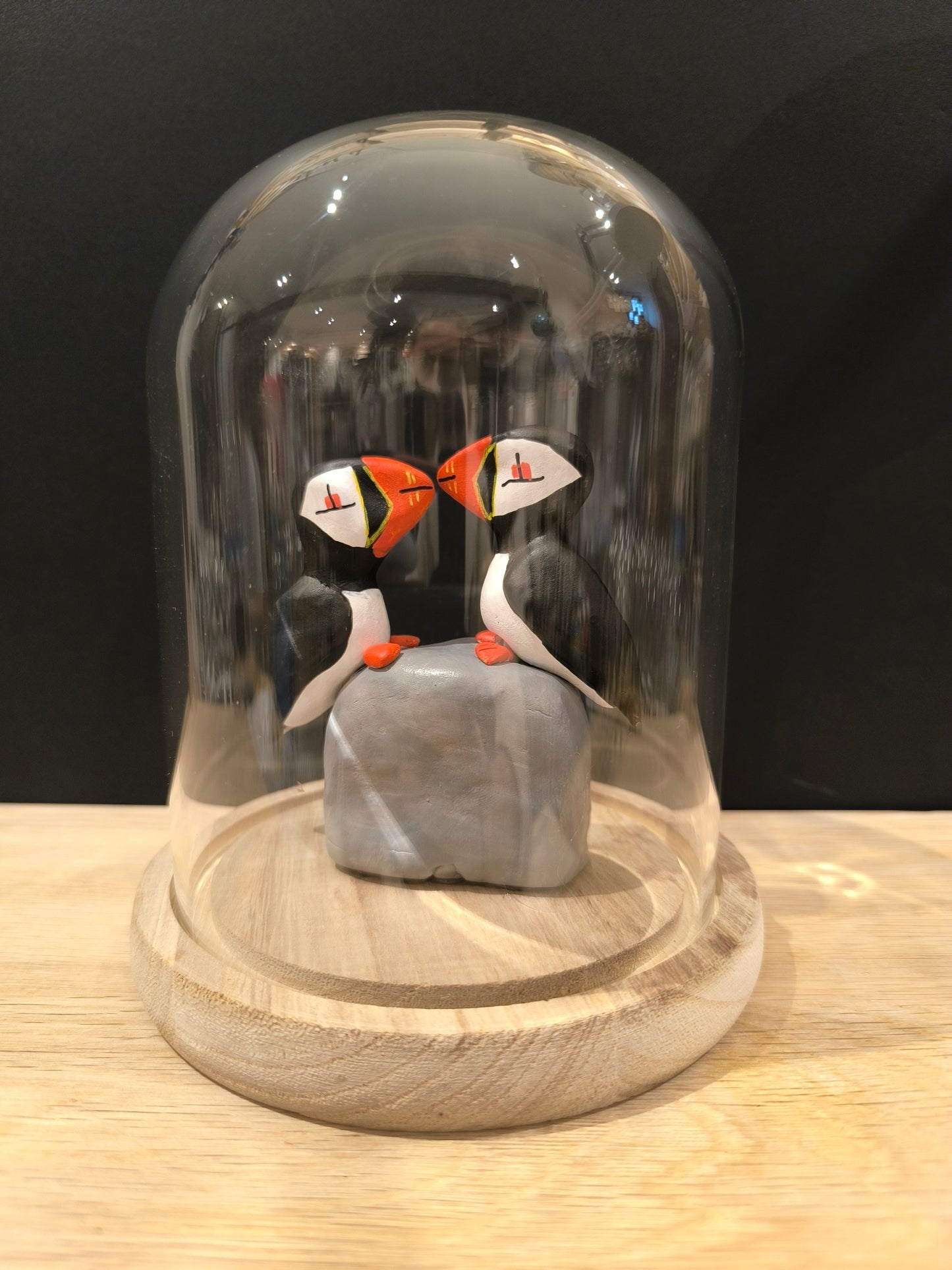 MACAREUX MOINES en parade nuptiale sous cloche de verre, façon cabinet de curiosité