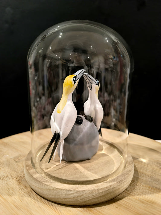Figurines sculptées couple de Fou de bassan en parade sous cloche de verre